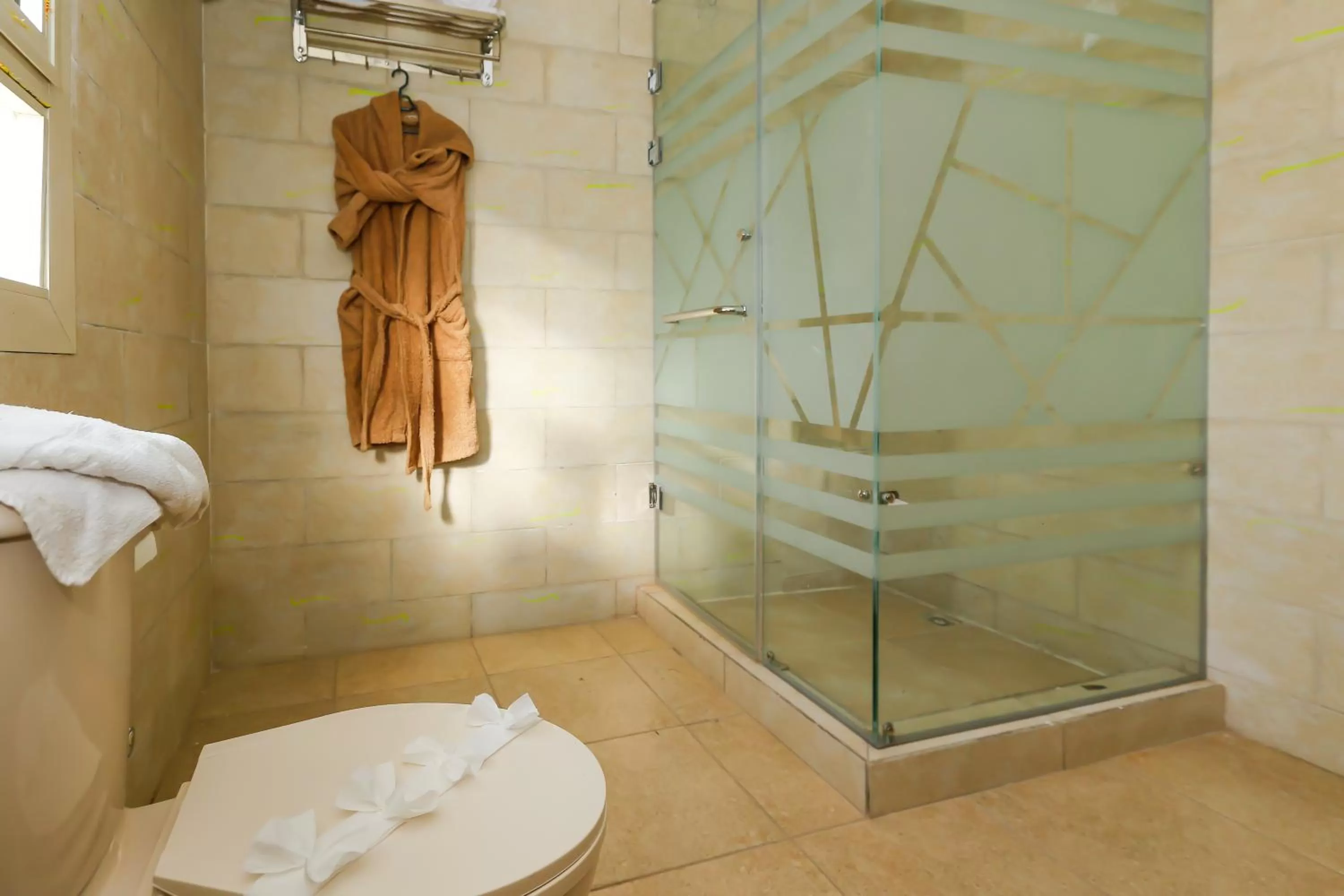 Shower, Bathroom in King Cheops Inn - Pyramid View