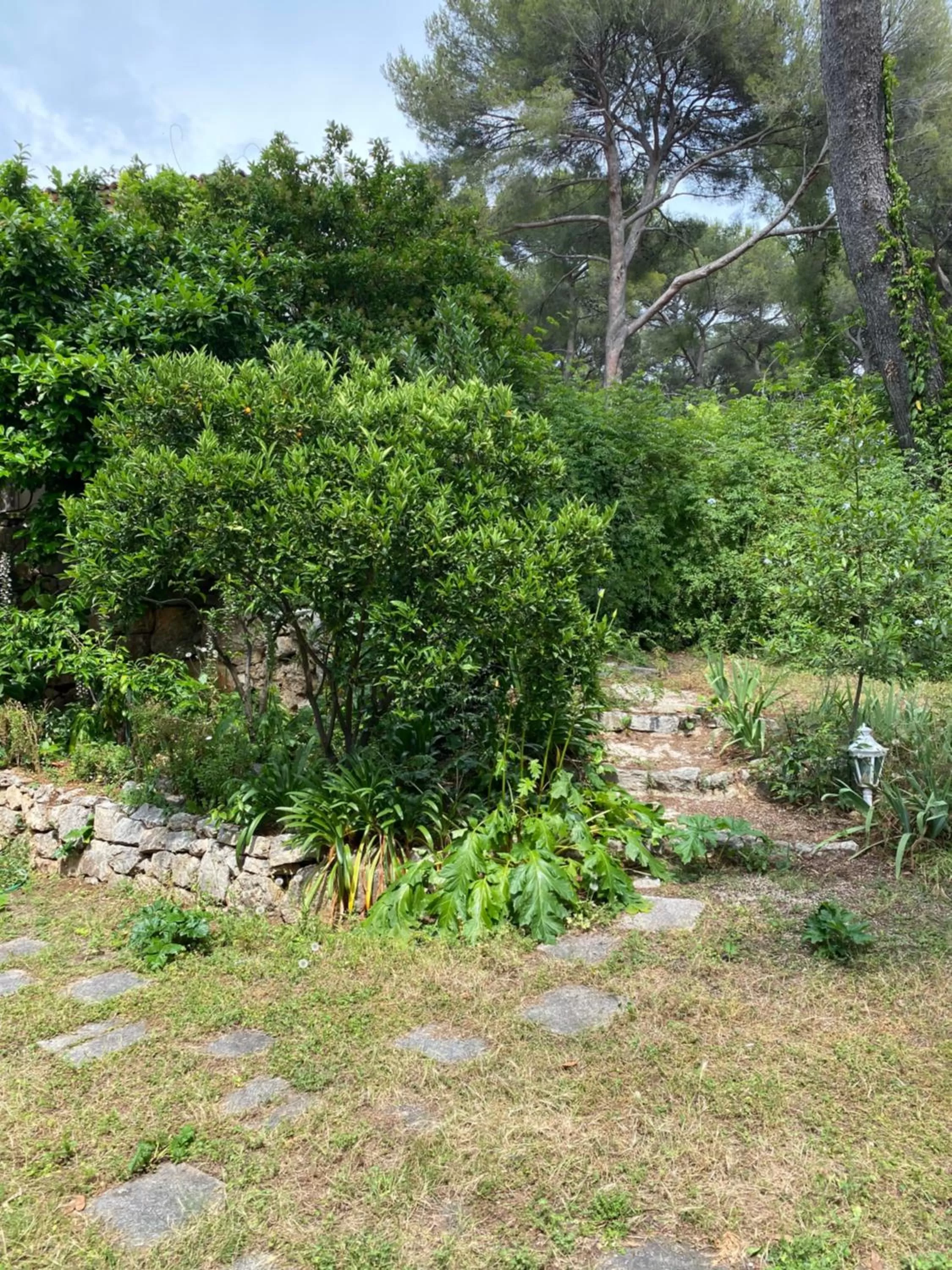 Garden in Chambre spacieuse indépendante dans villa plus parking privée