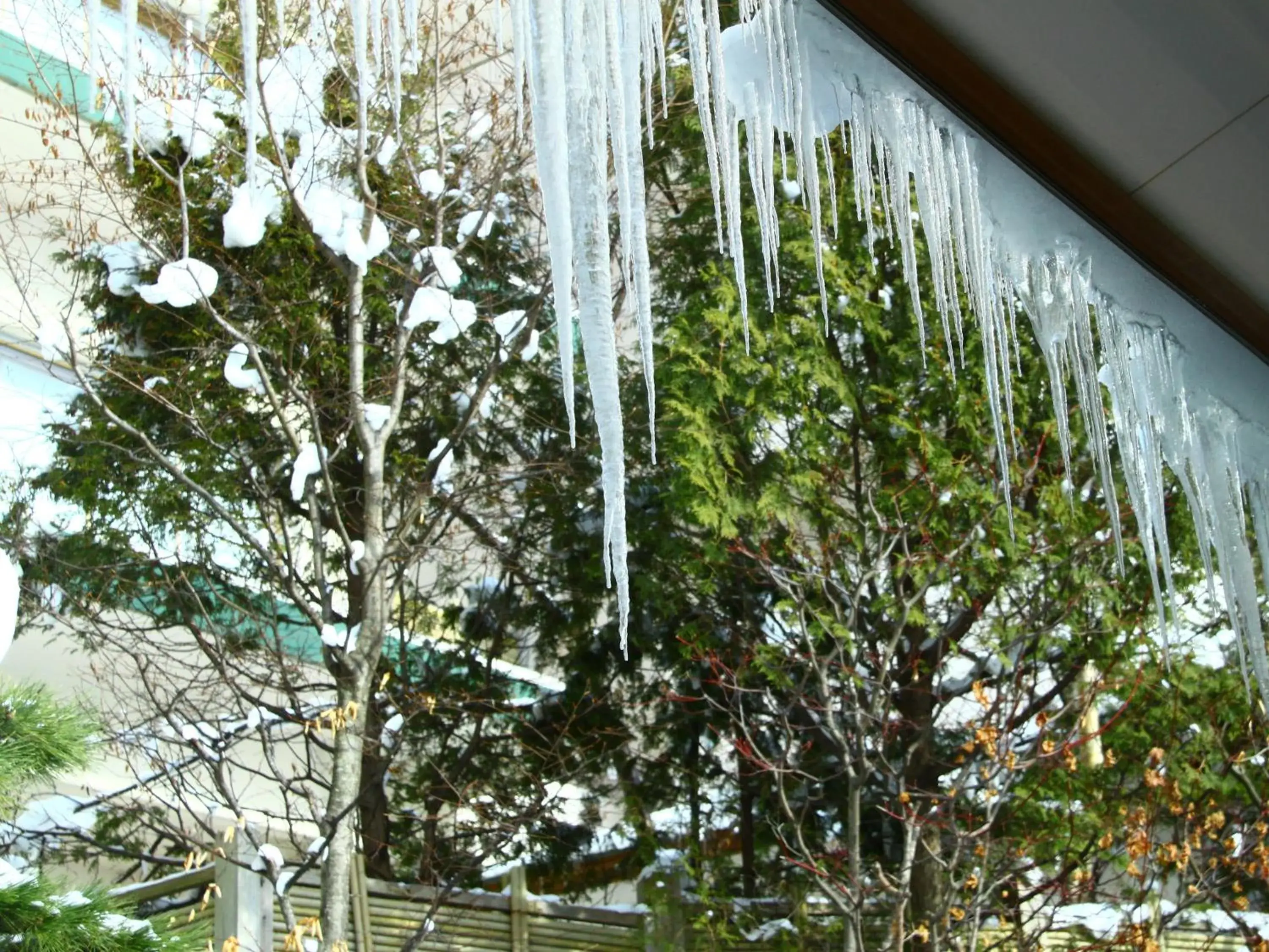 Garden view in Hanabishi Hotel