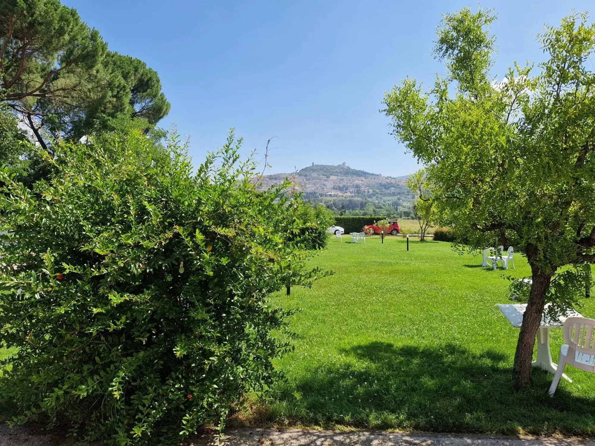 Natural landscape, Garden in Hotel Bellavista