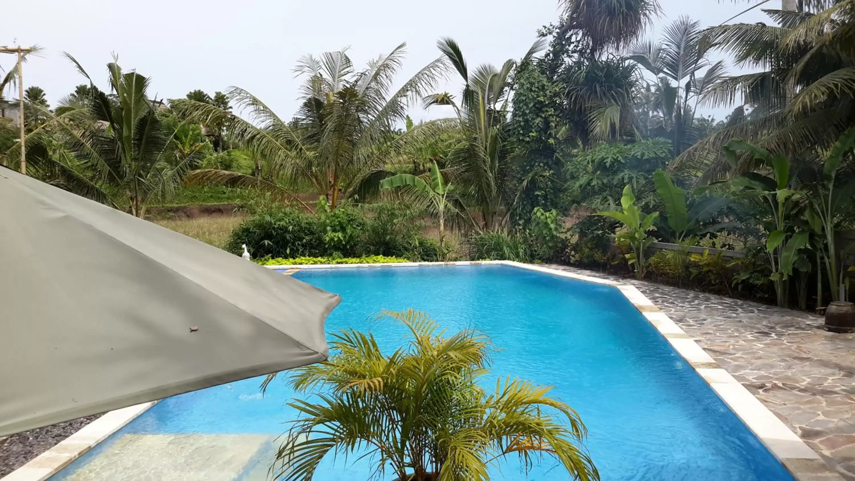 Swimming Pool in Gita Maha Ubud Hotel by Mahaputra-CHSE Certified