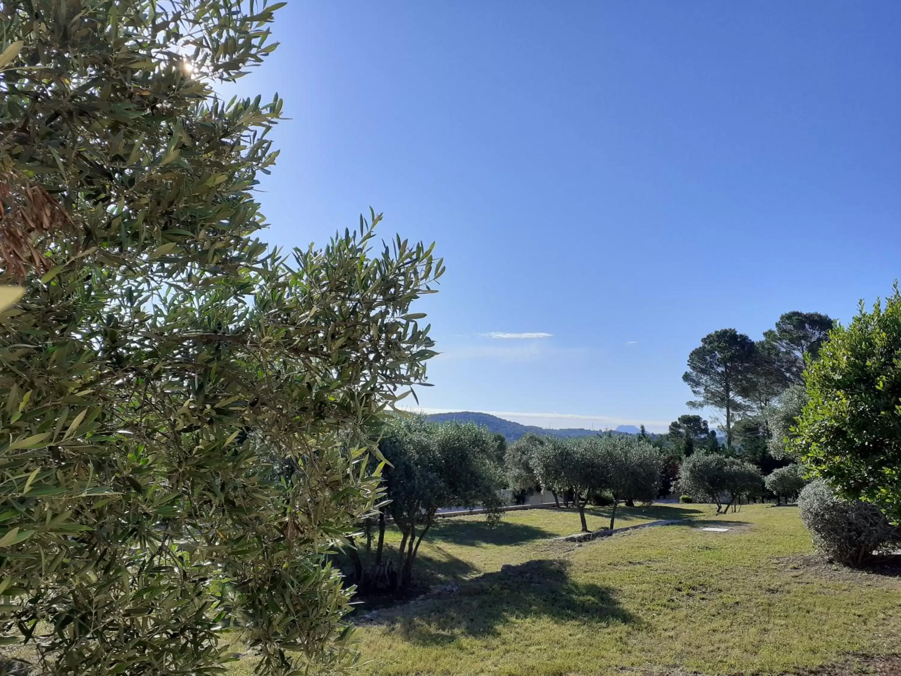 Garden view in La Bastide Des Selves