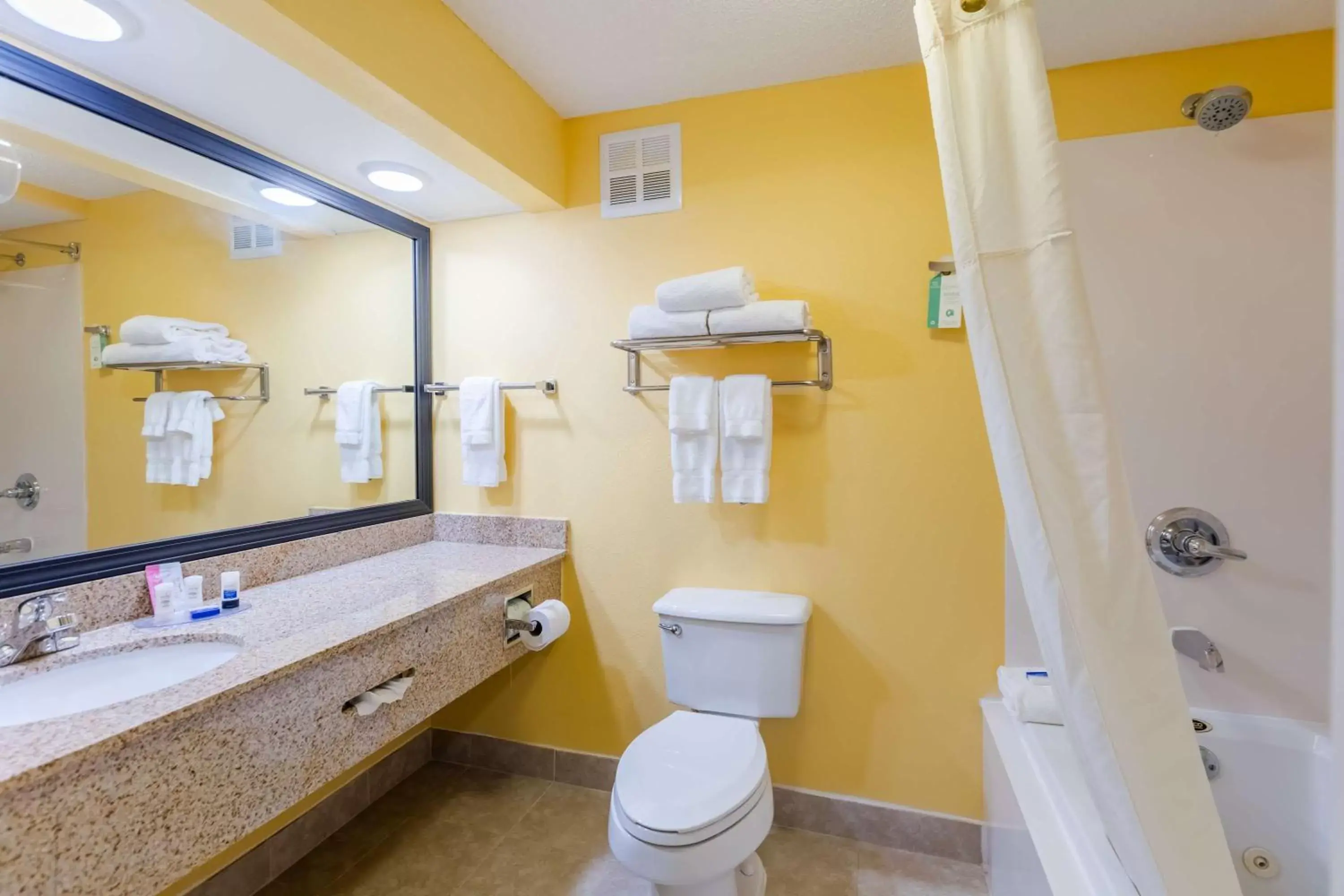 Bathroom in Best Western Milton Inn