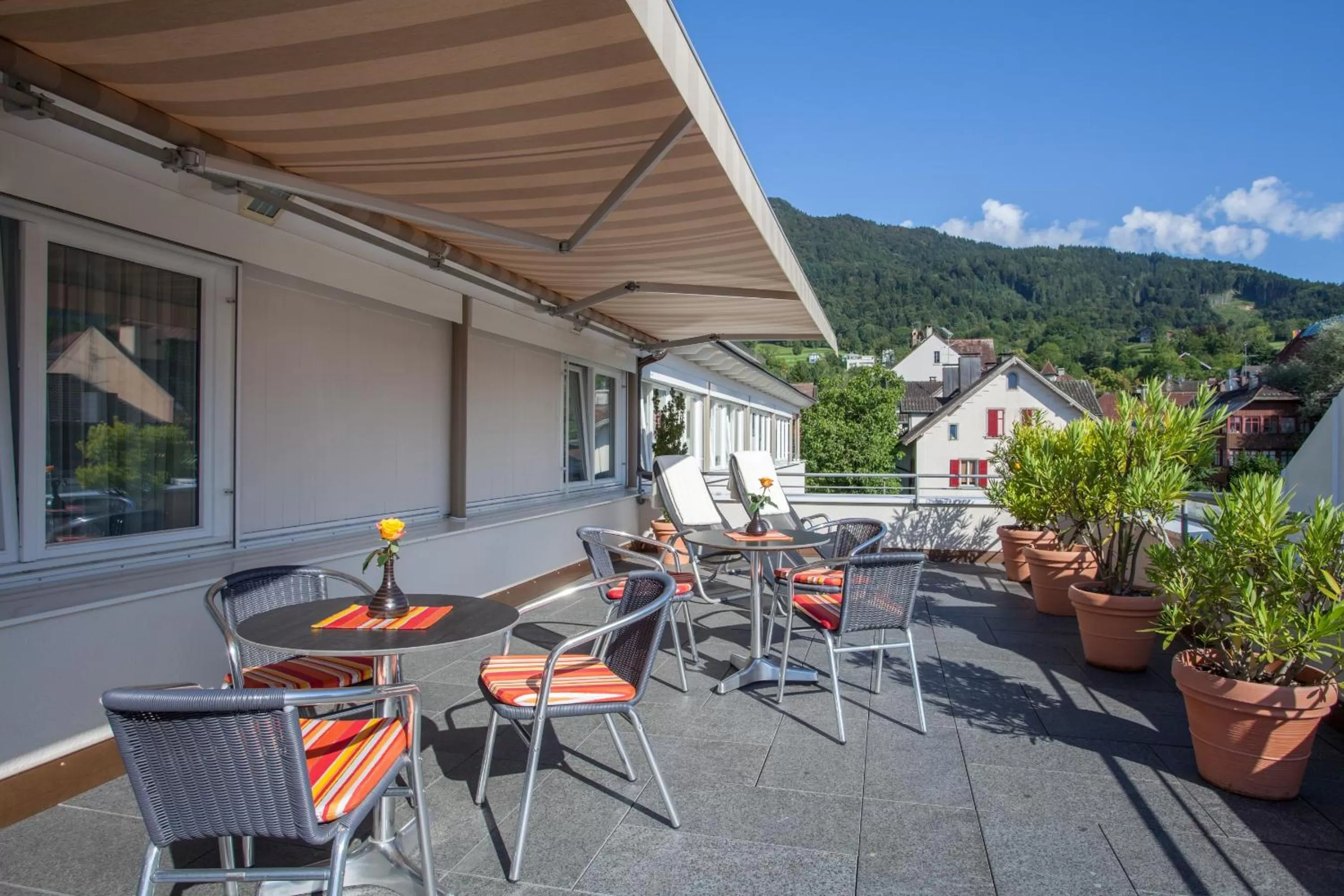 Garden in Hotel Germania