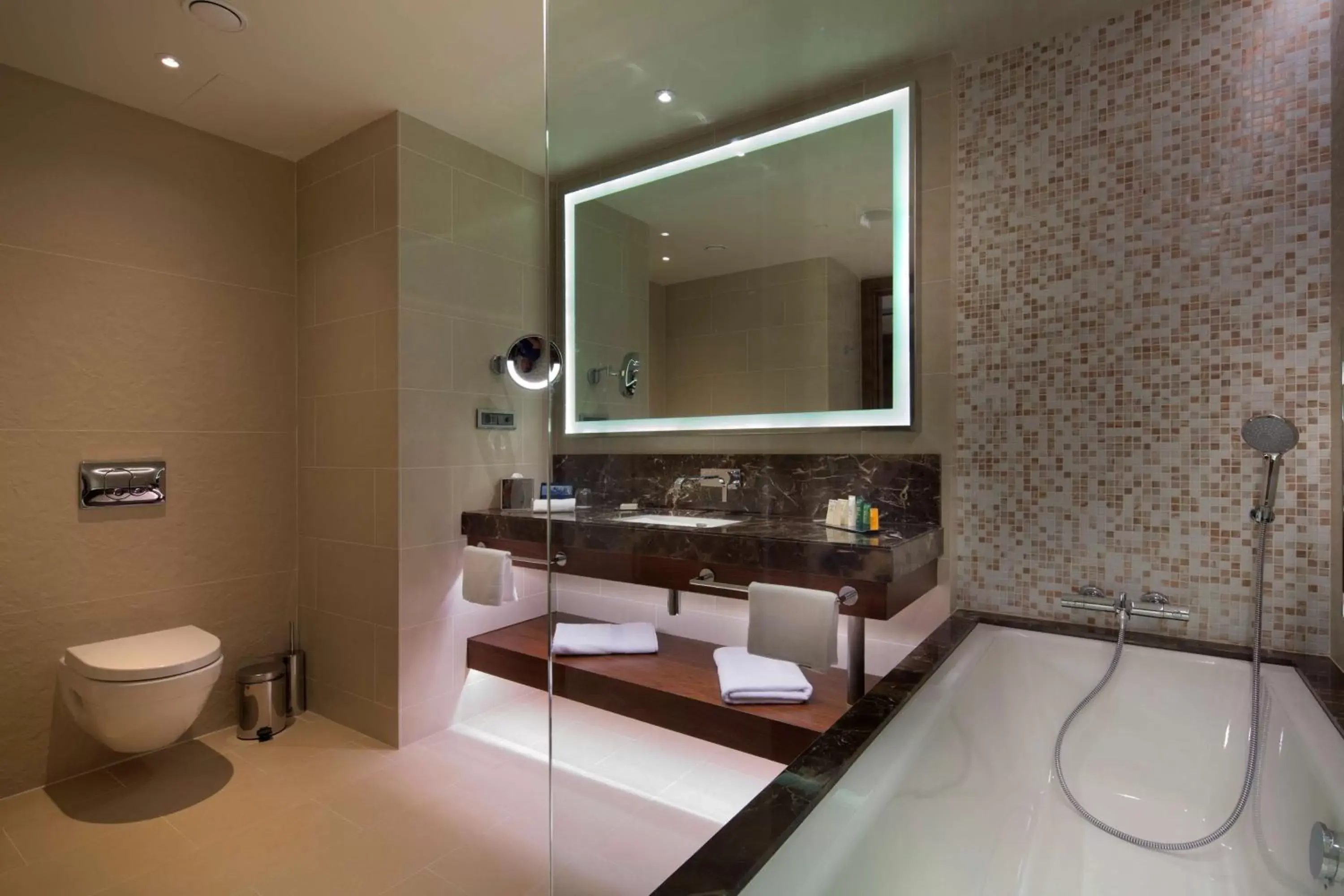 Bed, Bathroom in Hilton Batumi