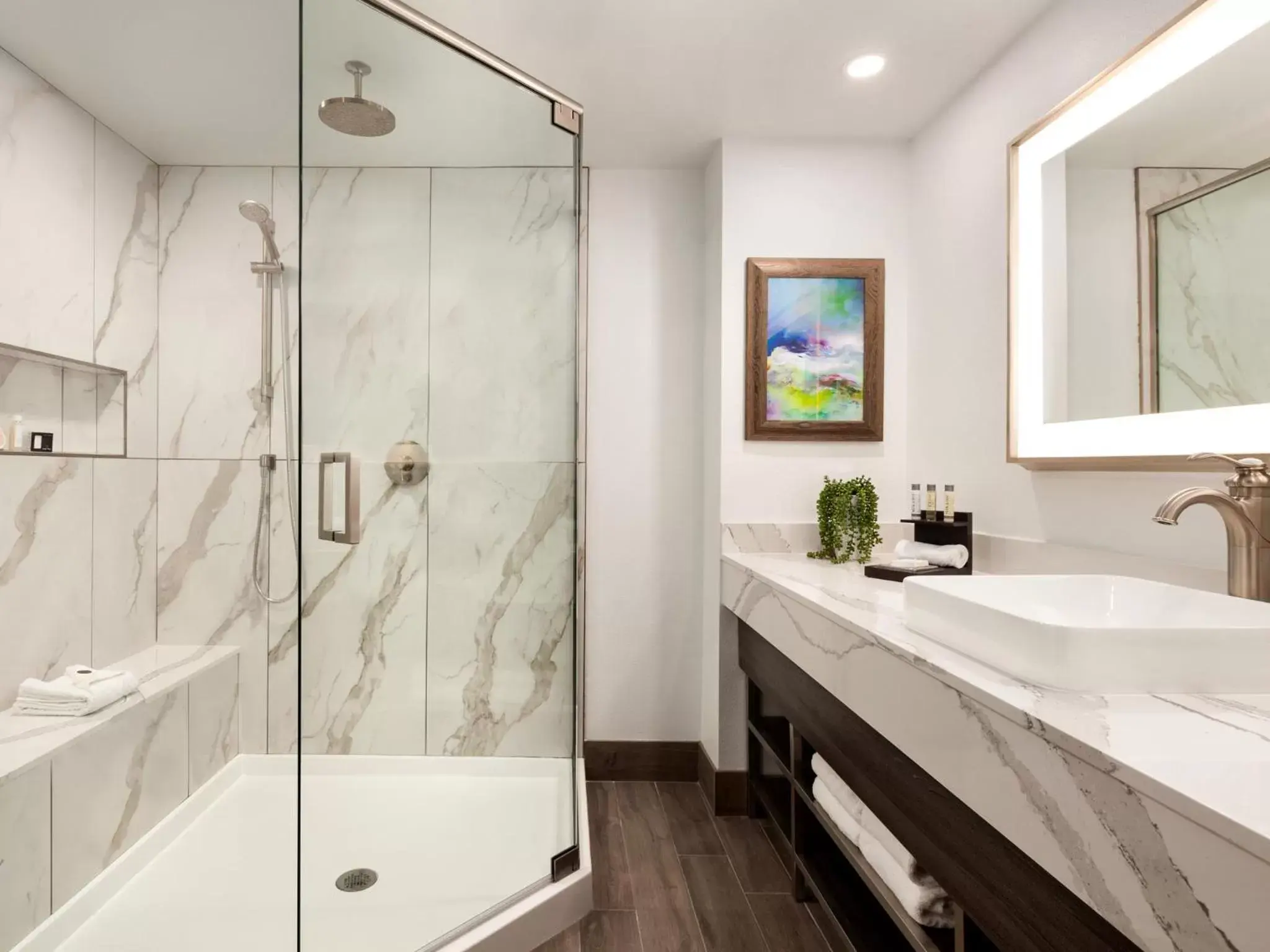 Shower, Bathroom in Buena Vista Suites Orlando