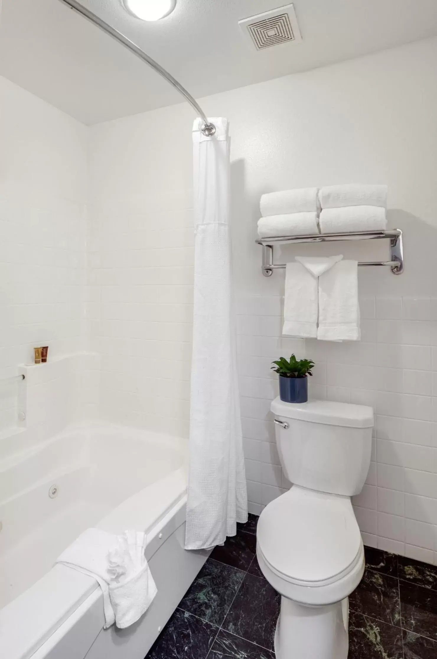 Shower, Bathroom in Ayres Suites Mission Viejo