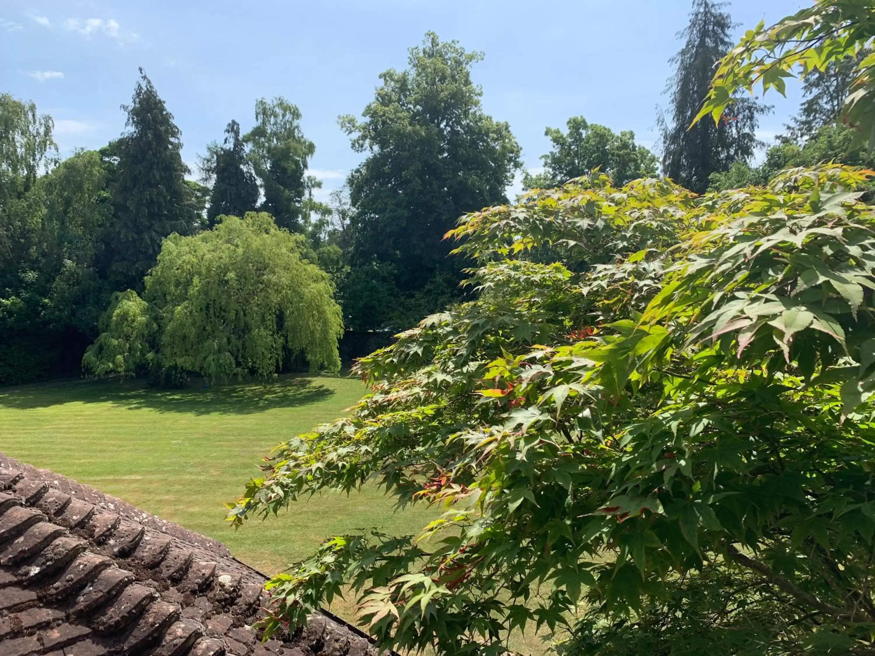 Garden view, Garden in Badgemore Park