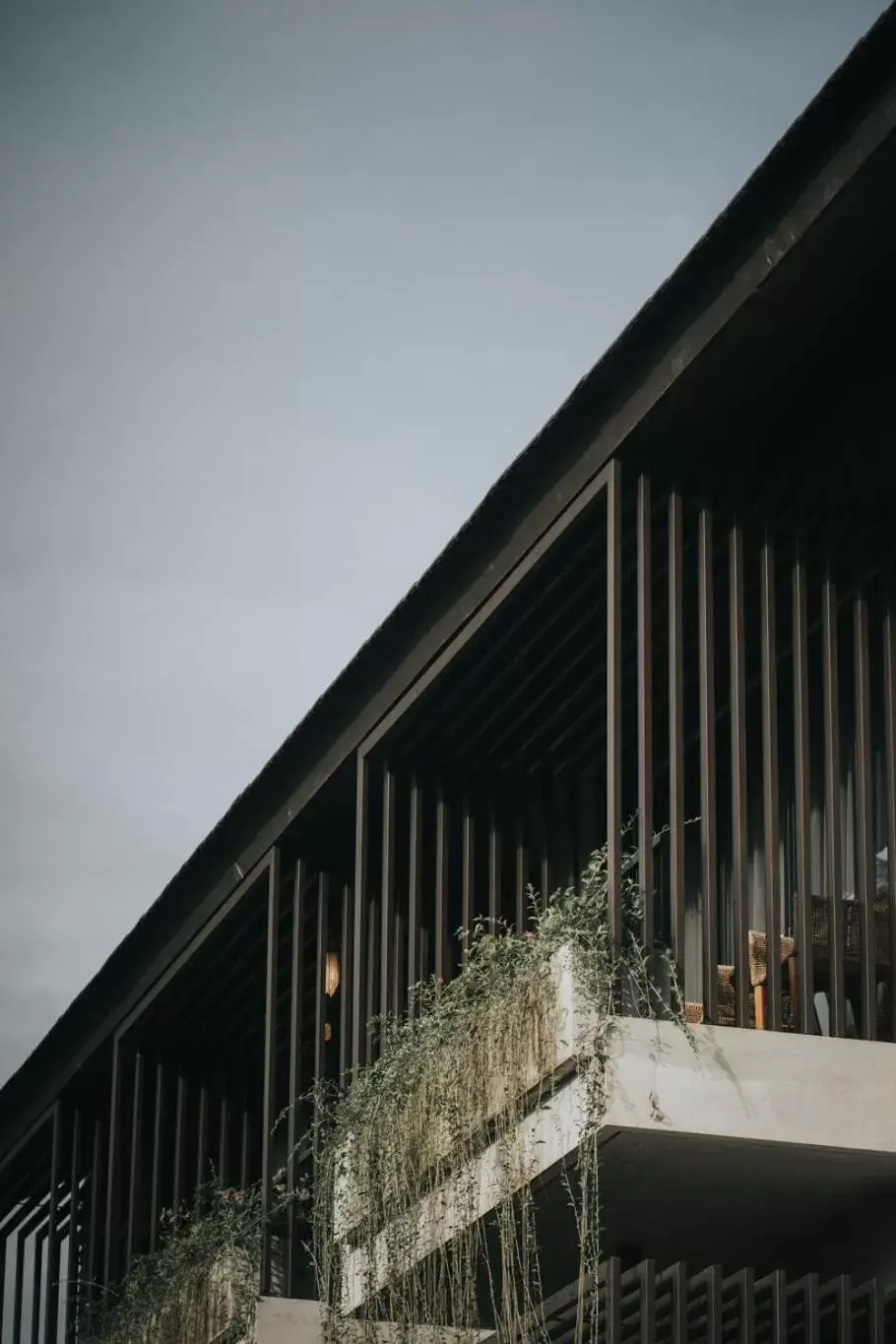 Property building in The Ning Resort Ubud Property building in The Ning Resort Ubud