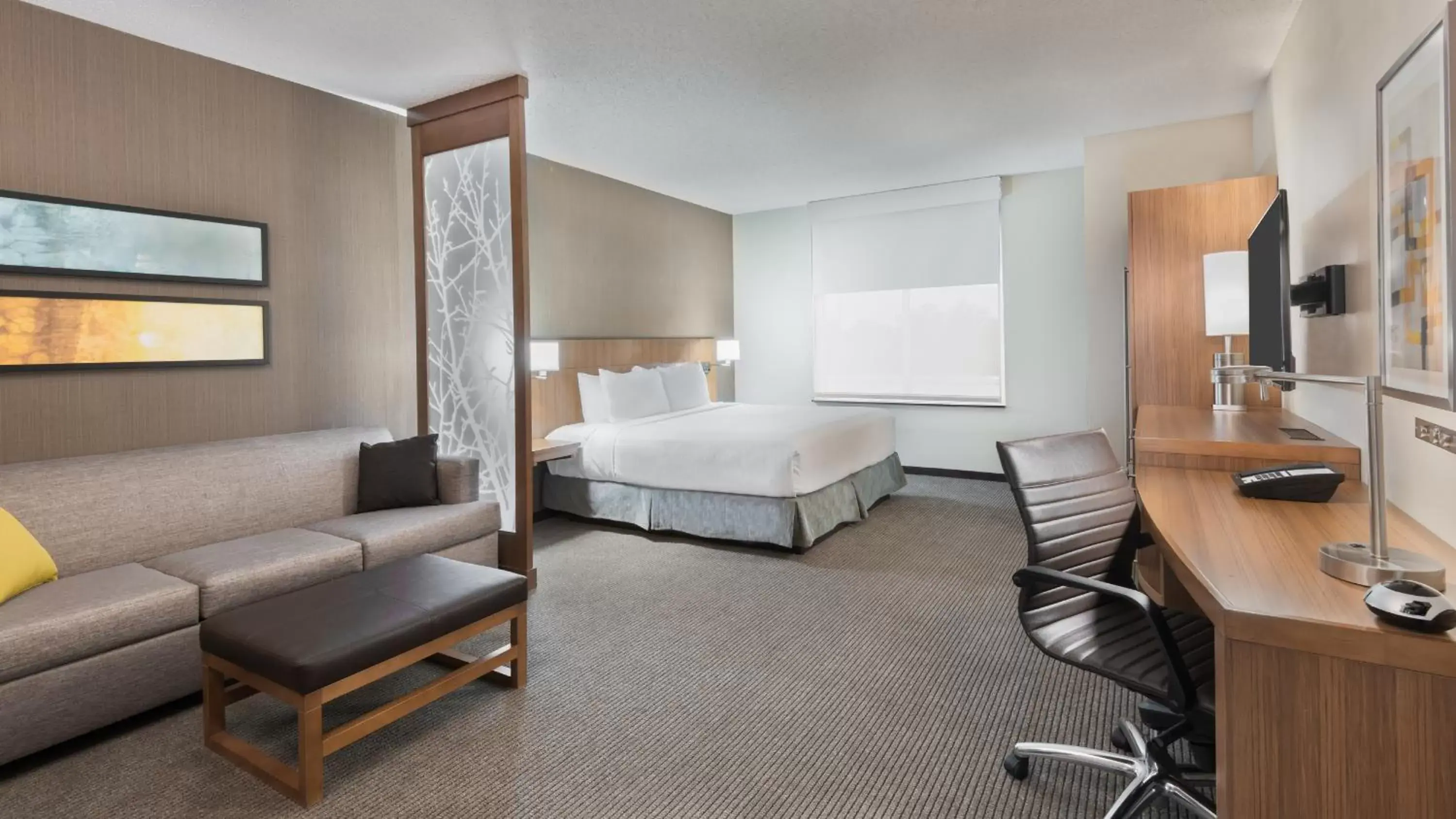 King Suite with Roll-In Shower - Disability Access in Hyatt Place Austin/Round Rock