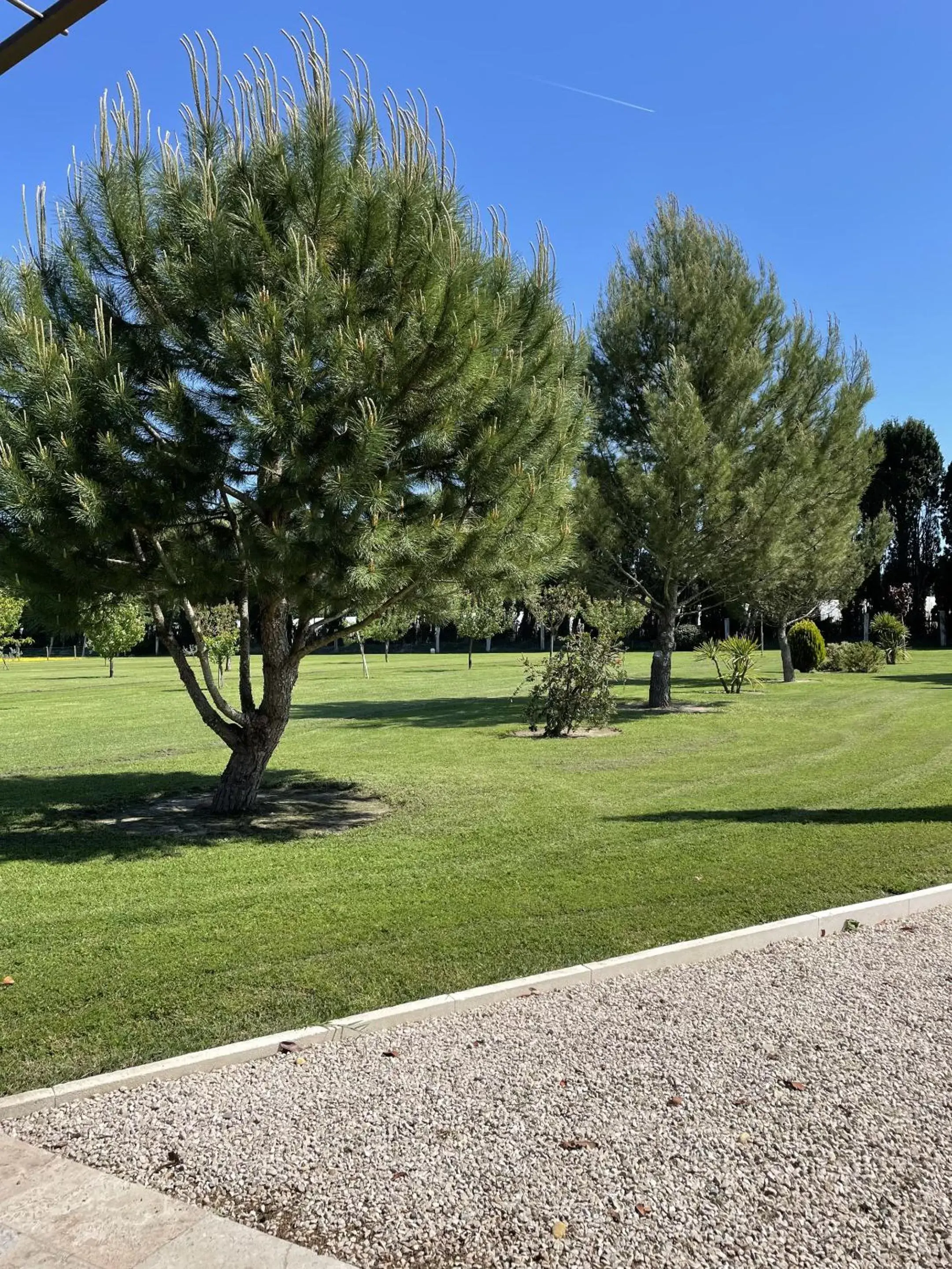 Garden in Le Mas Des Chutes