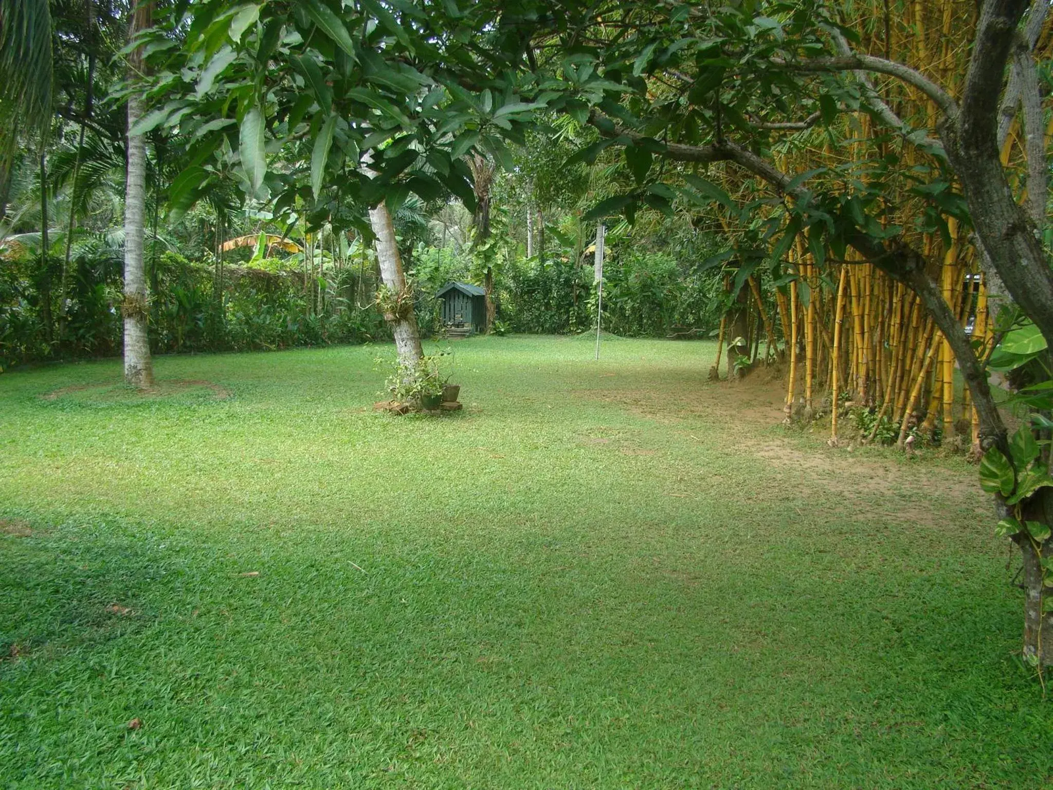 Natural landscape, Garden in Villa Shade