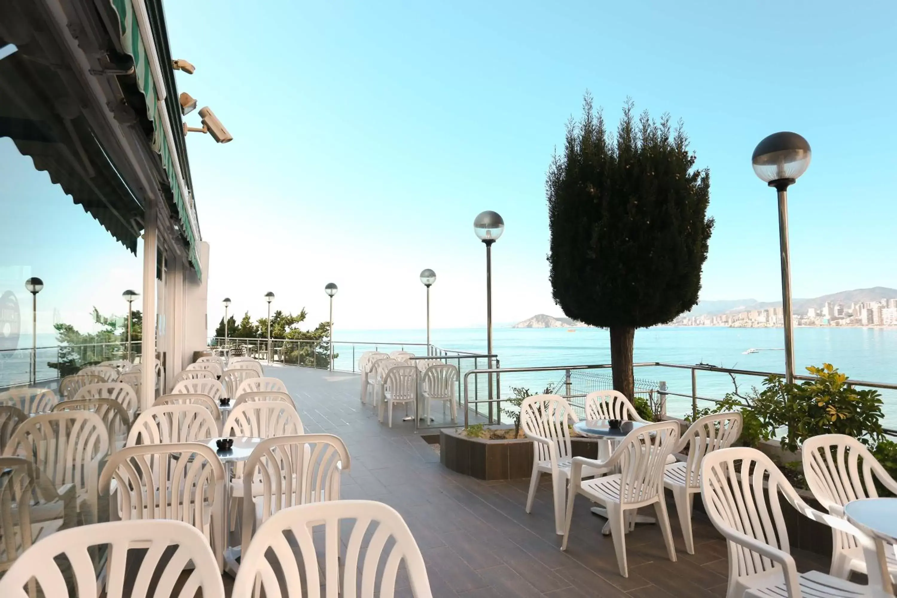 Balcony/Terrace in Hotel Benikaktus