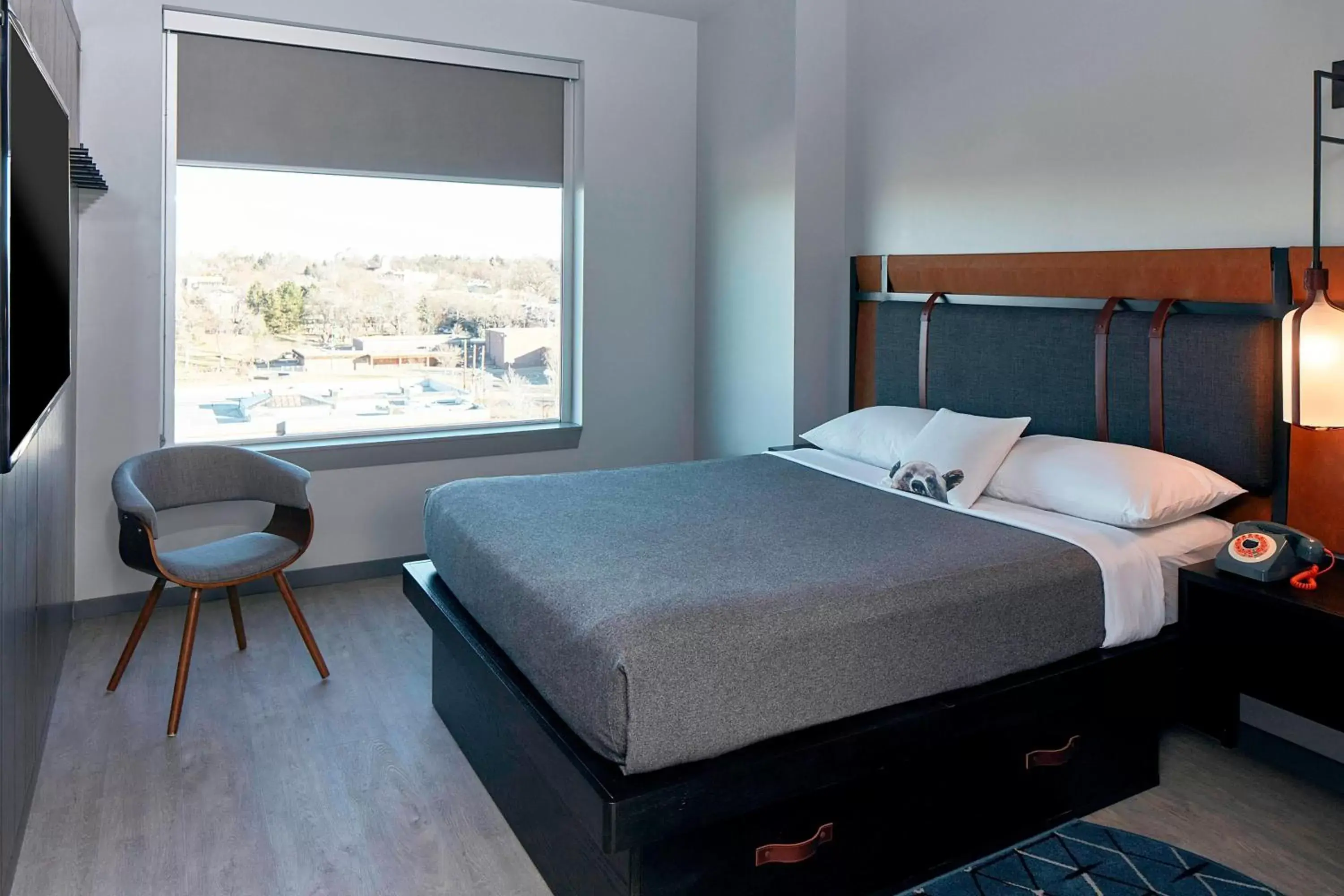 Photo of the whole room, Bed in MOXY Denver Cherry Creek