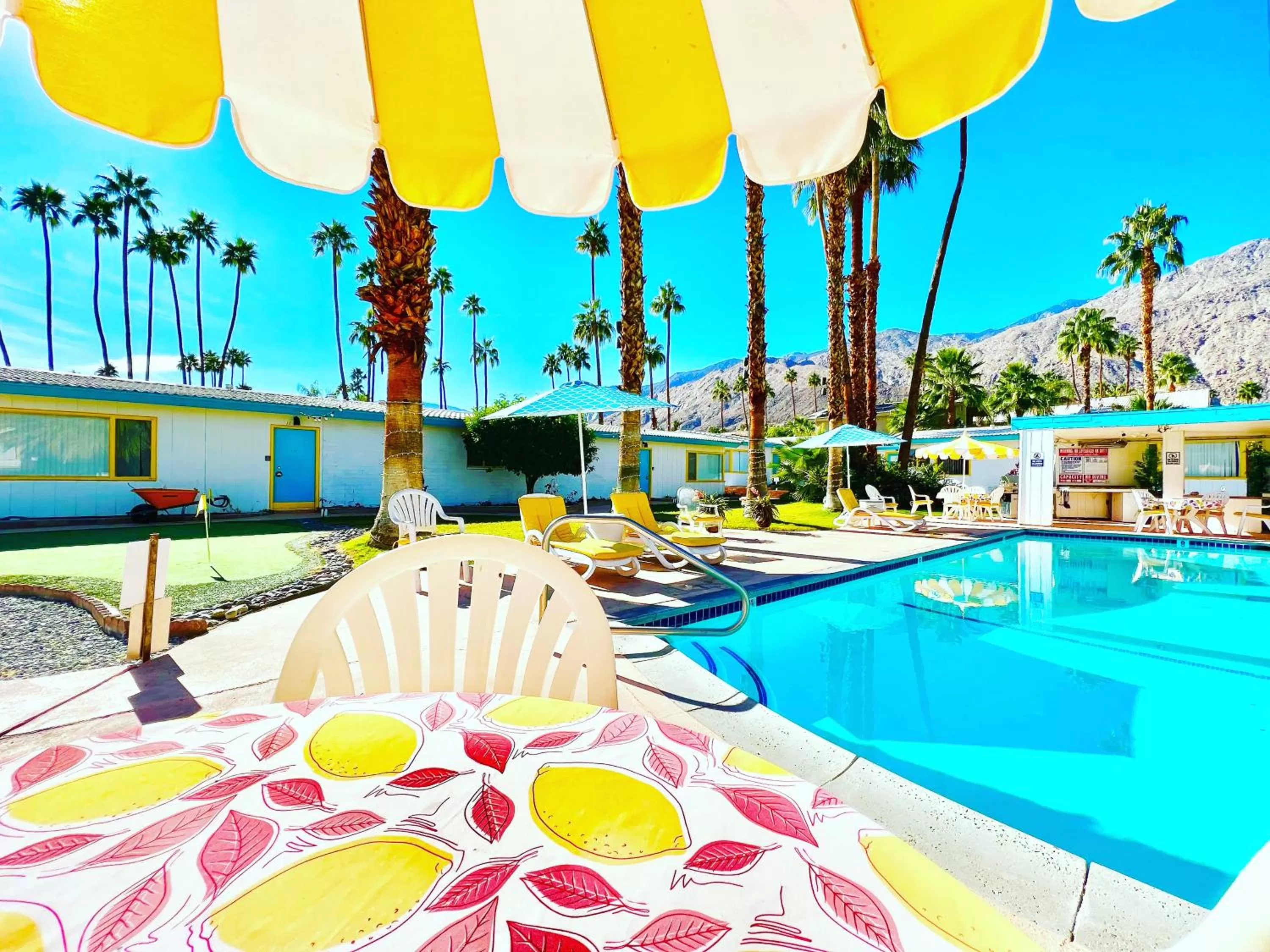 Swimming pool in A PLACE IN THE SUN Hotel - ADULTS ONLY Big Units, 24h Heated Pool & Spa in 1 Acre Park Prime Location, DOG Friendly, TOP Midcentury Modern Boutique Hotel