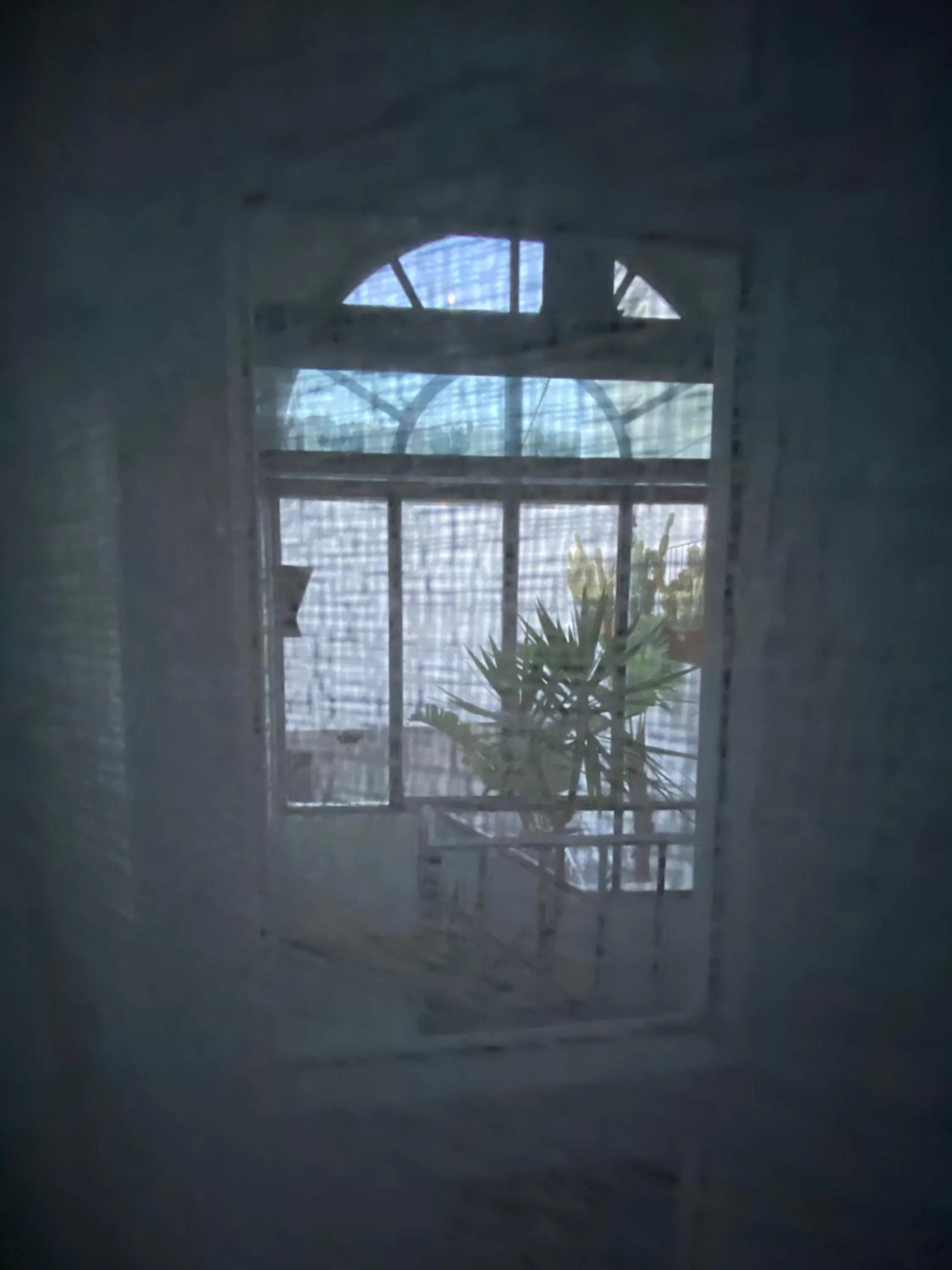 Suites Edivino Design Capri