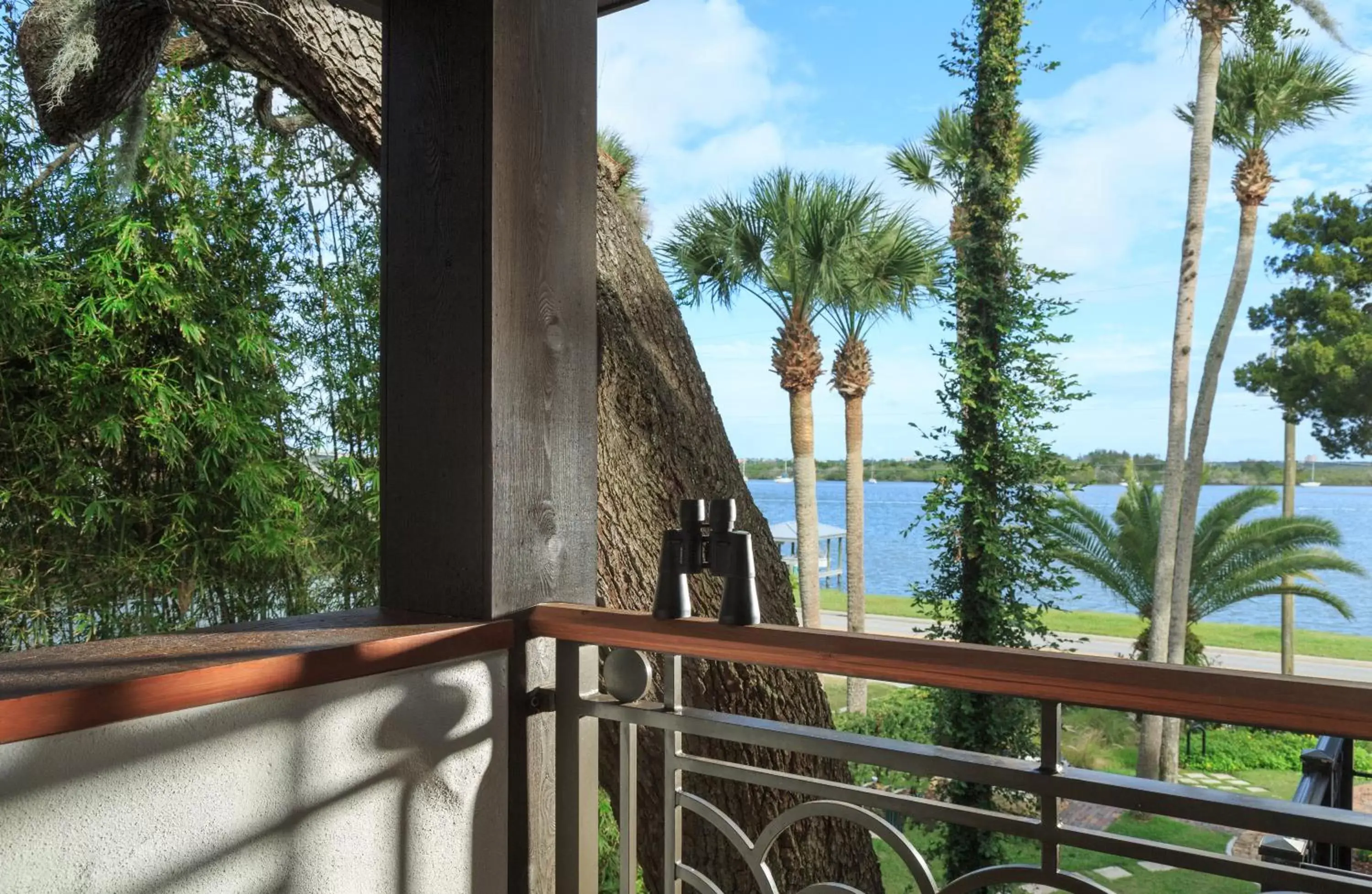 Balcony/Terrace in Black Dolphin Inn