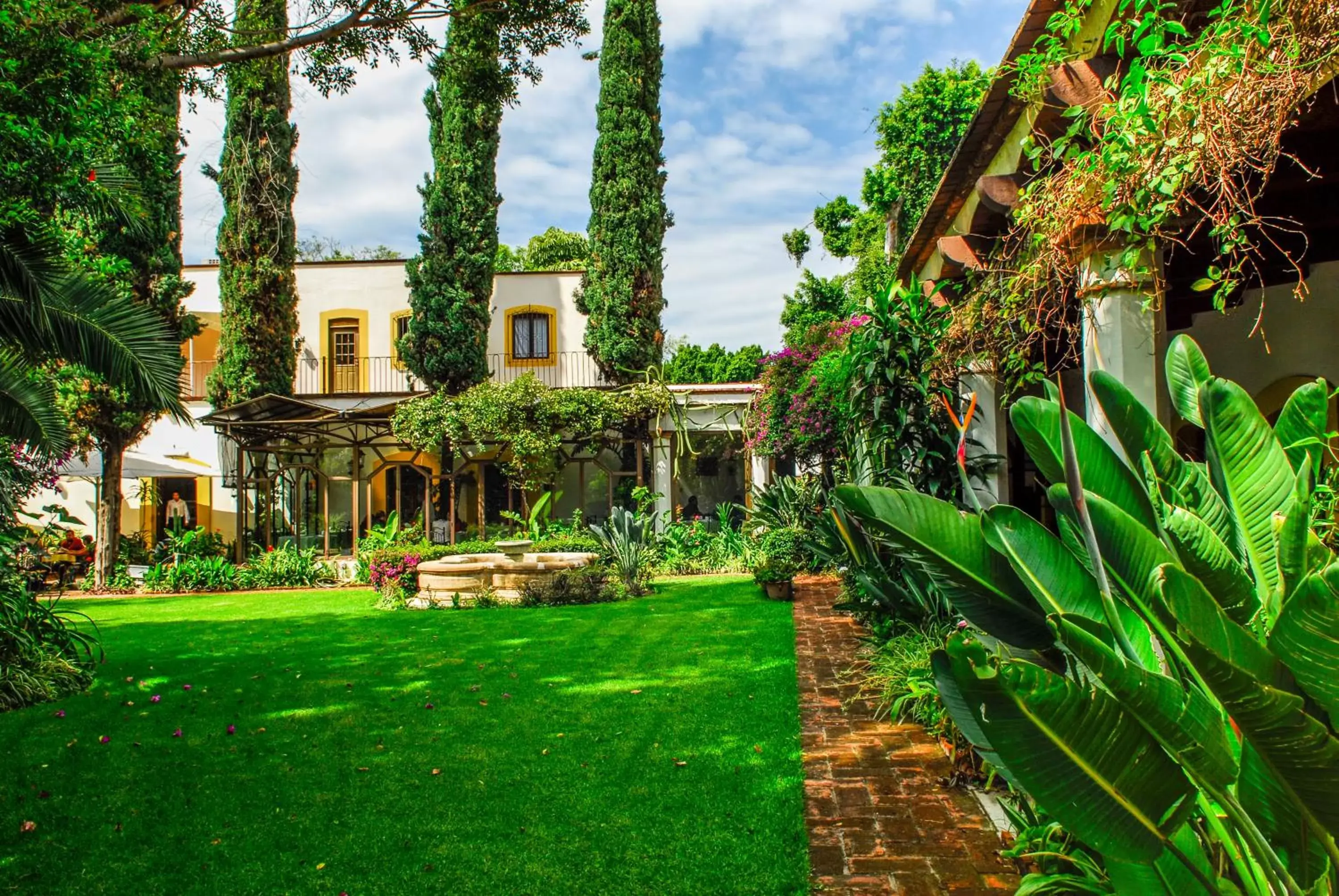 Garden in Hotel Hacienda Los Laureles