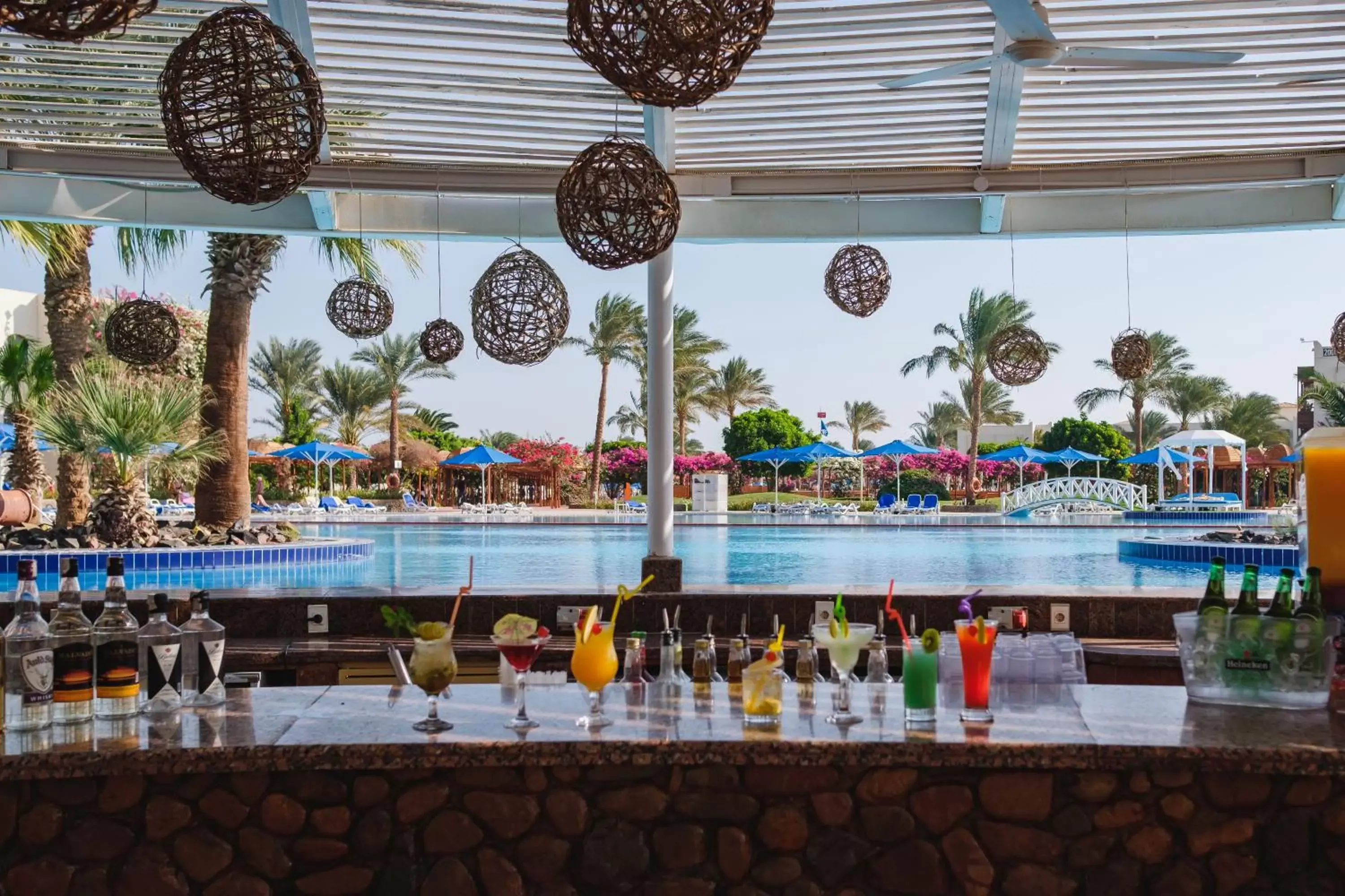 Lounge or bar in Desert Rose Resort