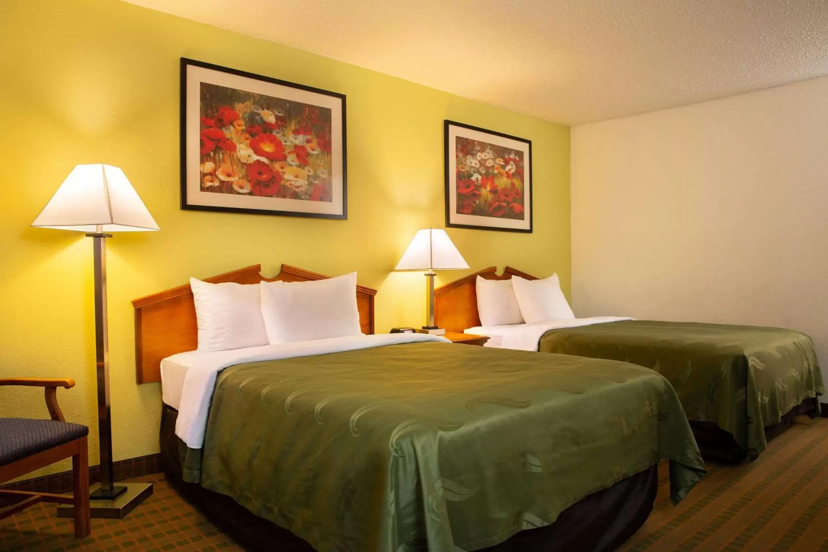 Photo of the whole room, Room Photo in Quality Inn at Arlington Highlands
