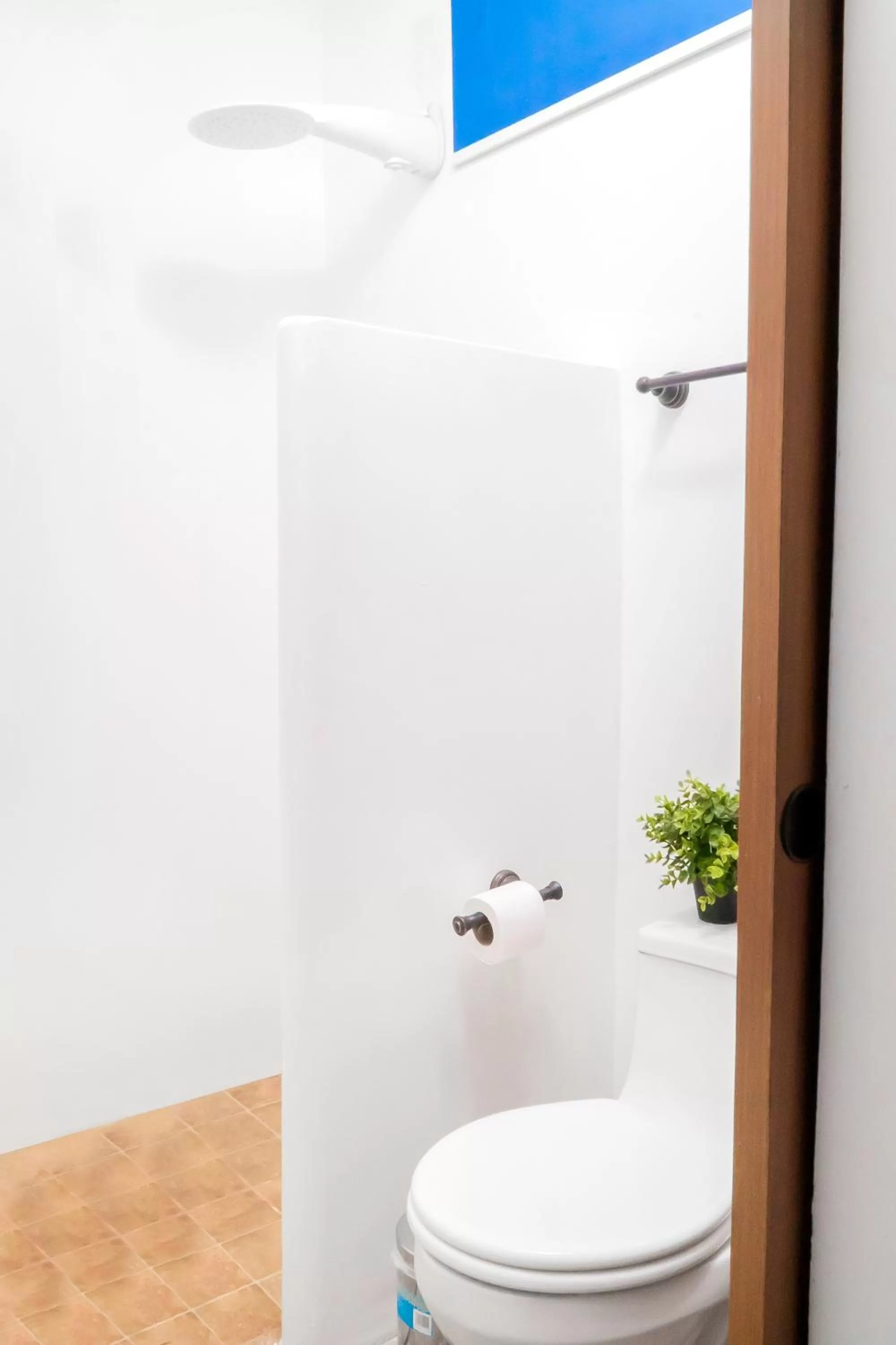 Shower in Hotel Boutique Platanal