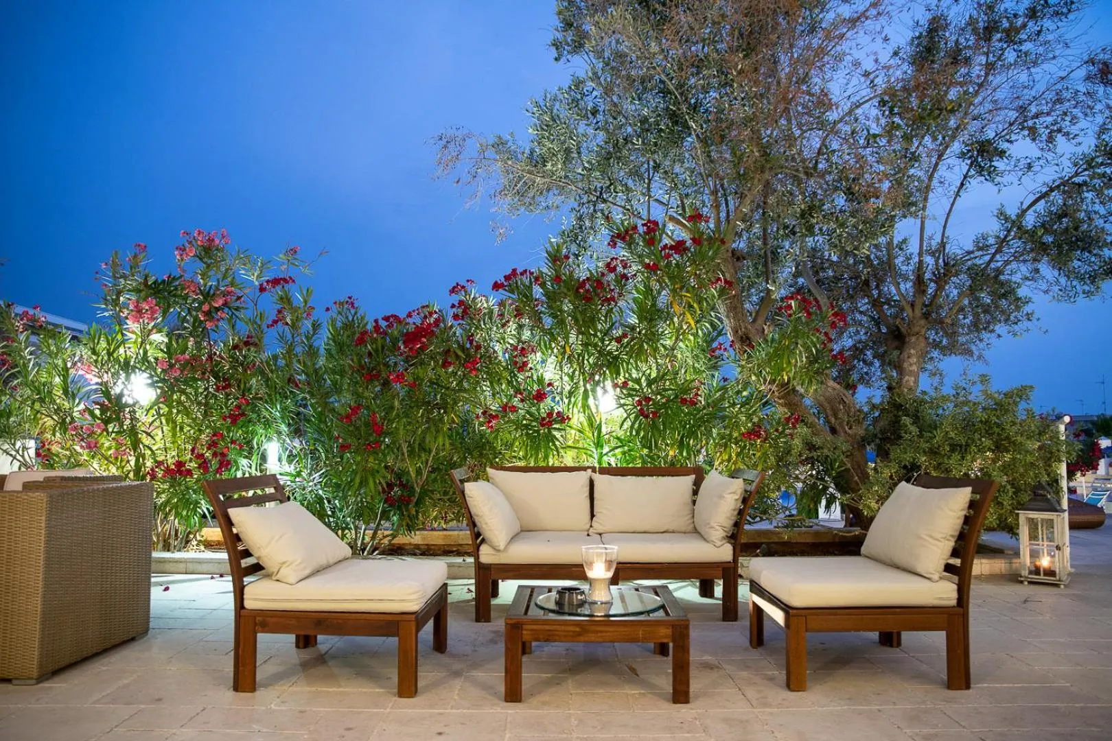 Garden view in Club Azzurro Hotel & Resort