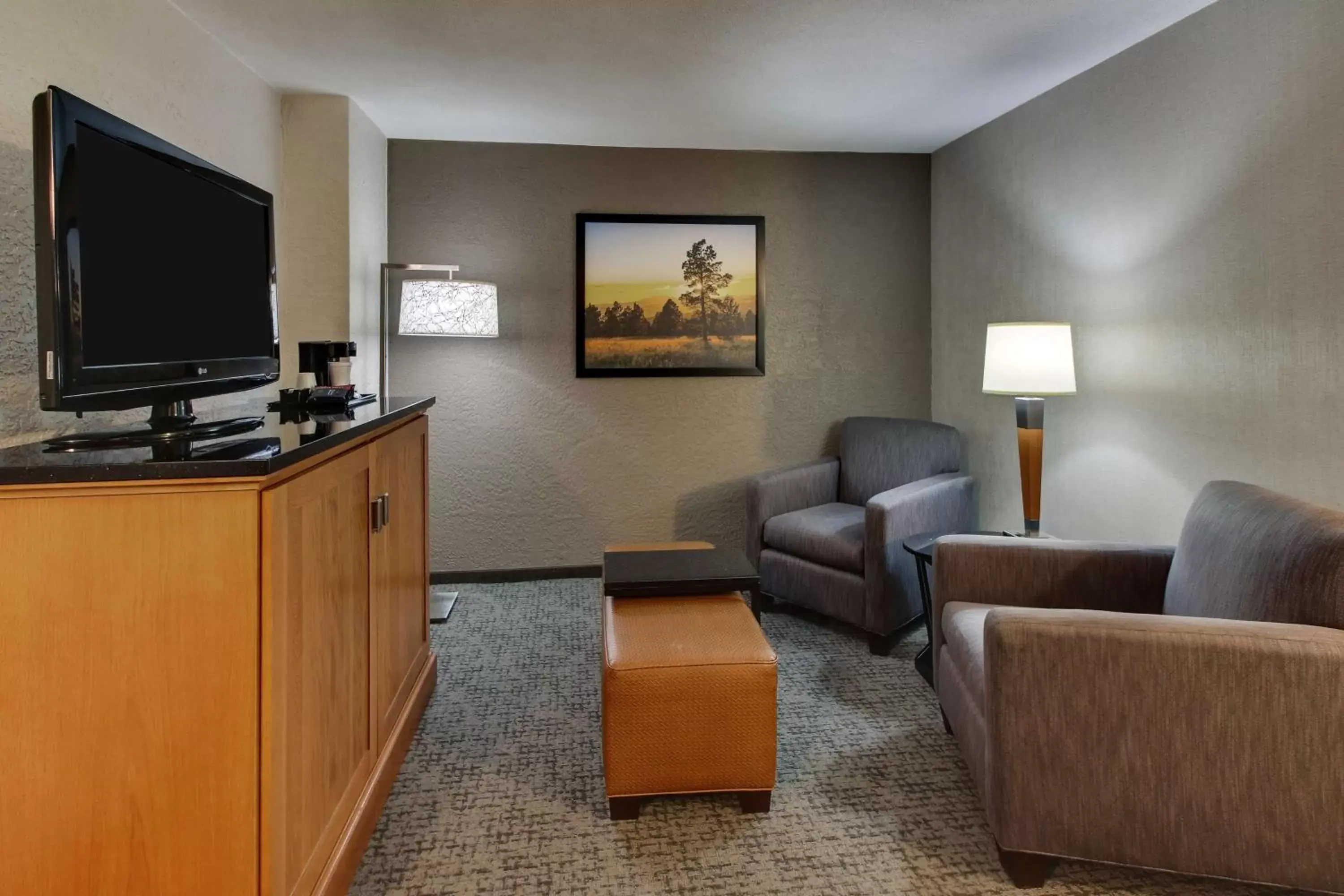 Photo of the whole room, Seating Area in Drury Inn & Suites Phoenix Happy Valley