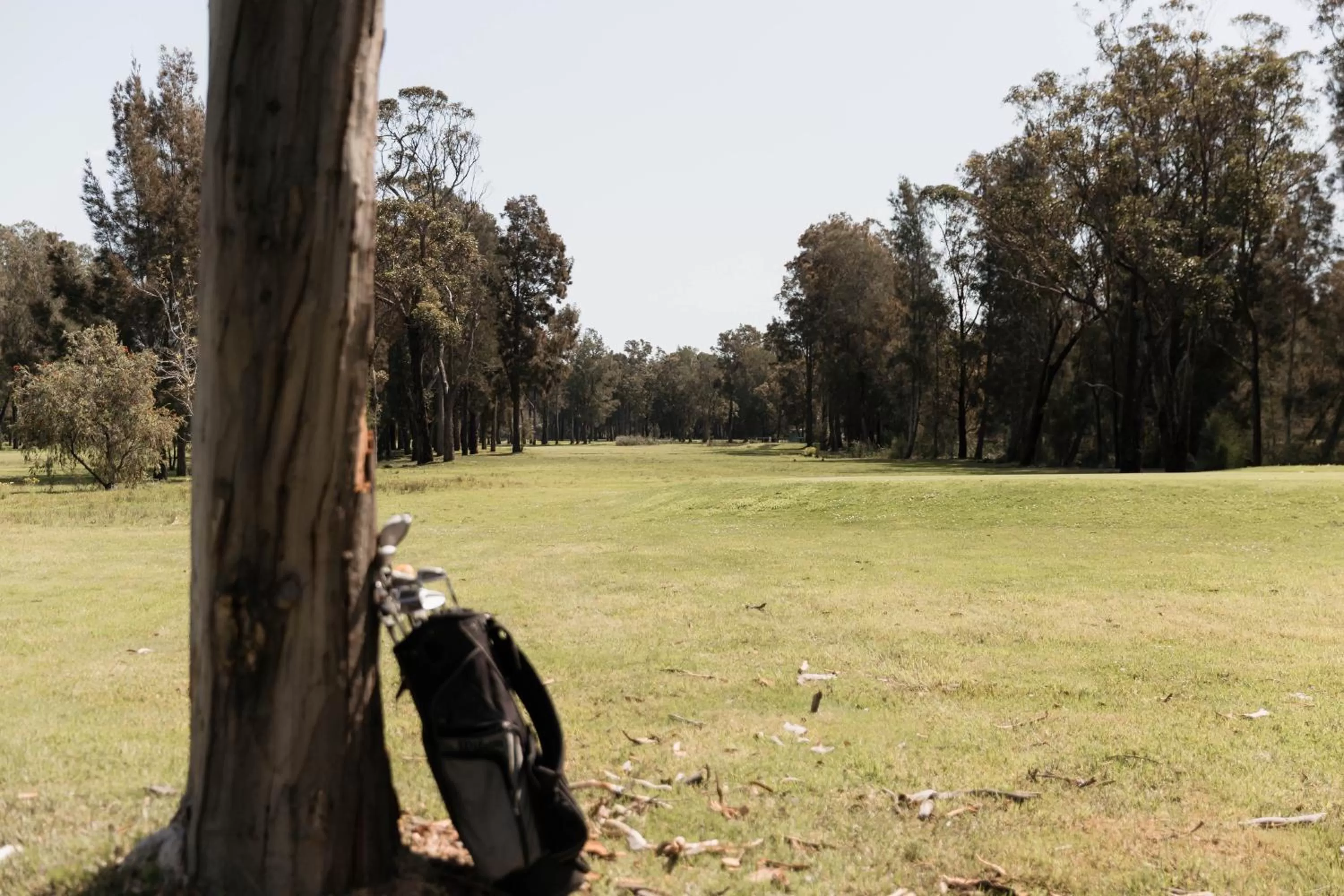 Beach & Bay Stay Motel