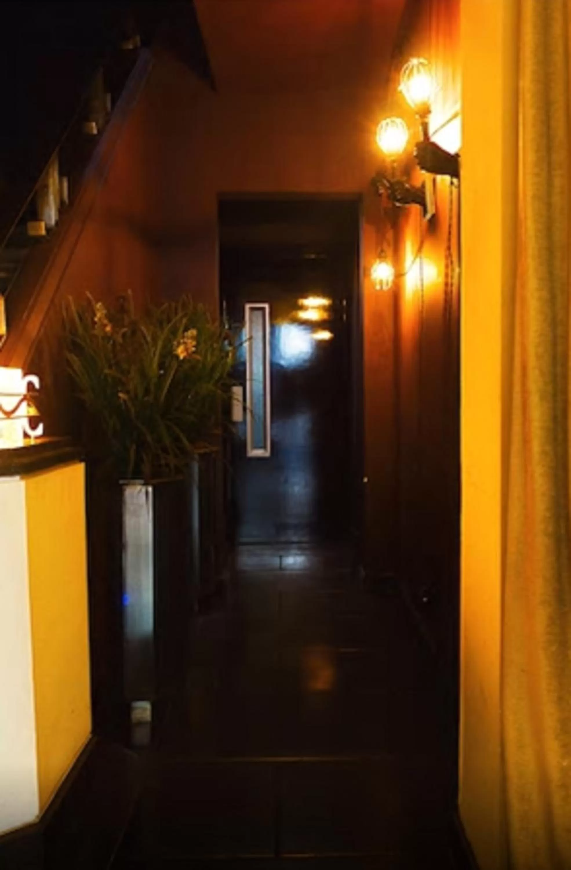 Area and facilities in Hippodrome Hotel Condesa