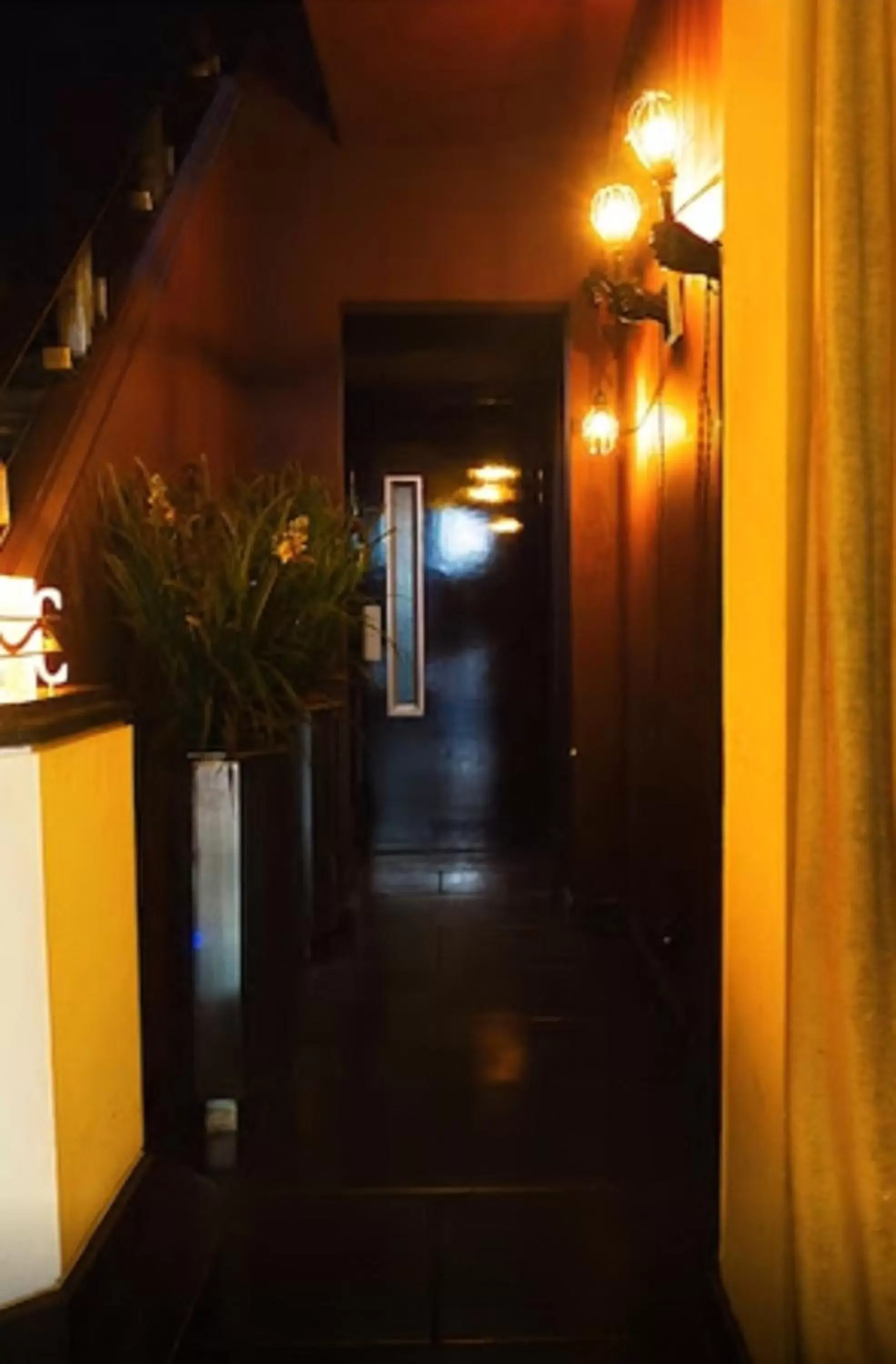 Area and facilities in Hippodrome Hotel Condesa