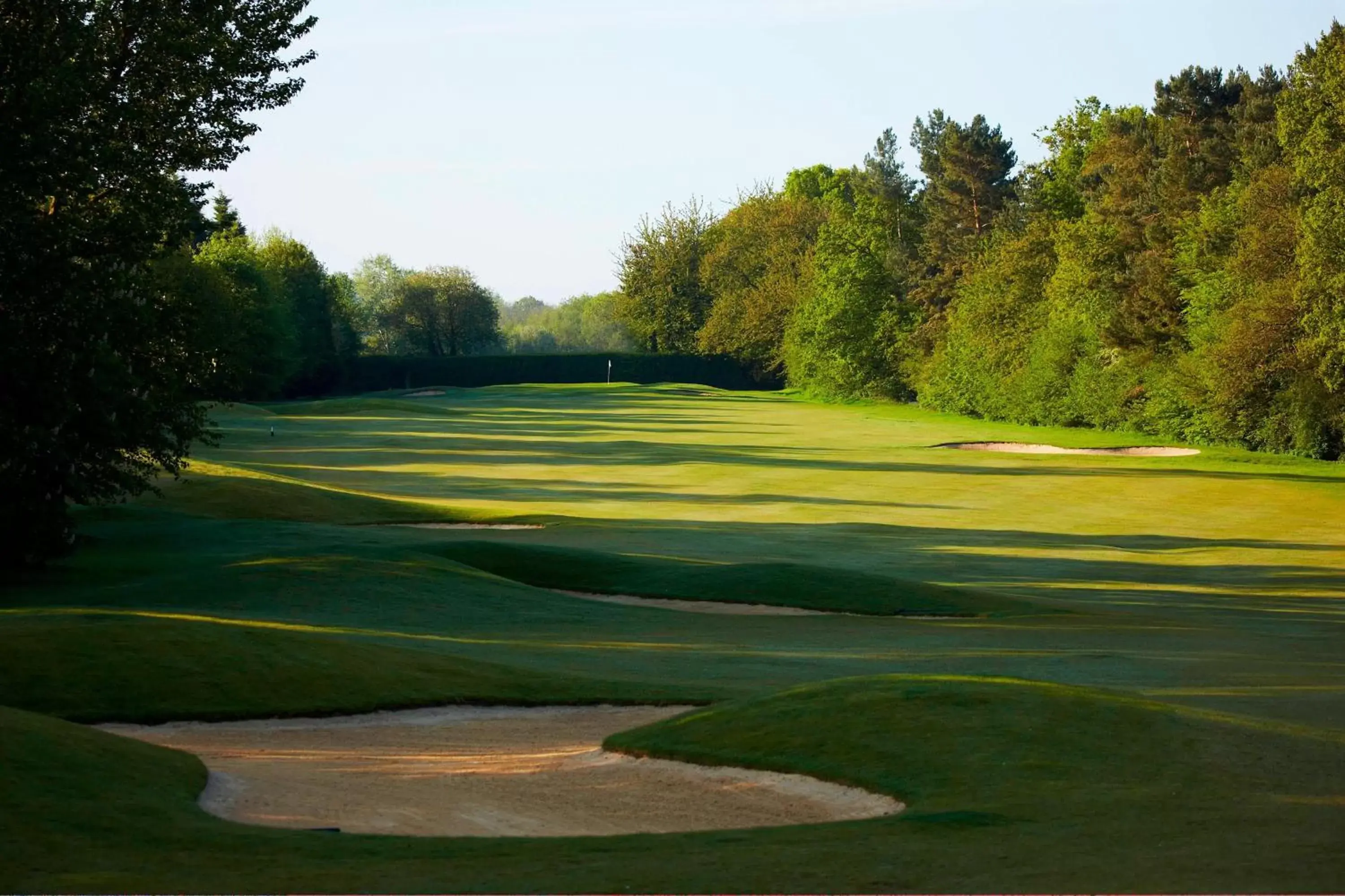 Golfcourse, Golf in Lingfield Park Marriott Hotel & Country Club