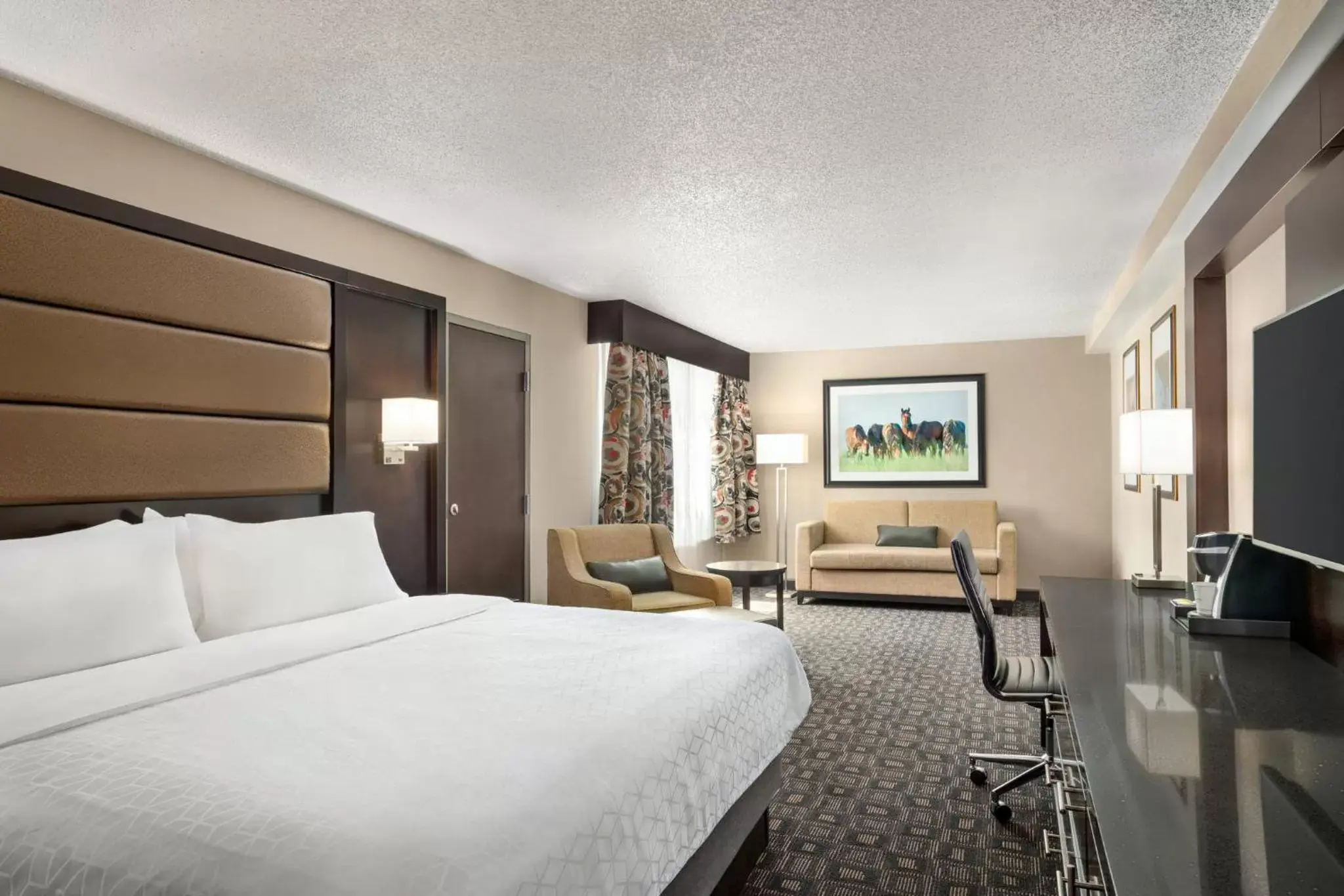 Photo of the whole room in Holiday Inn Louisville East - Hurstbourne, an IHG Hotel