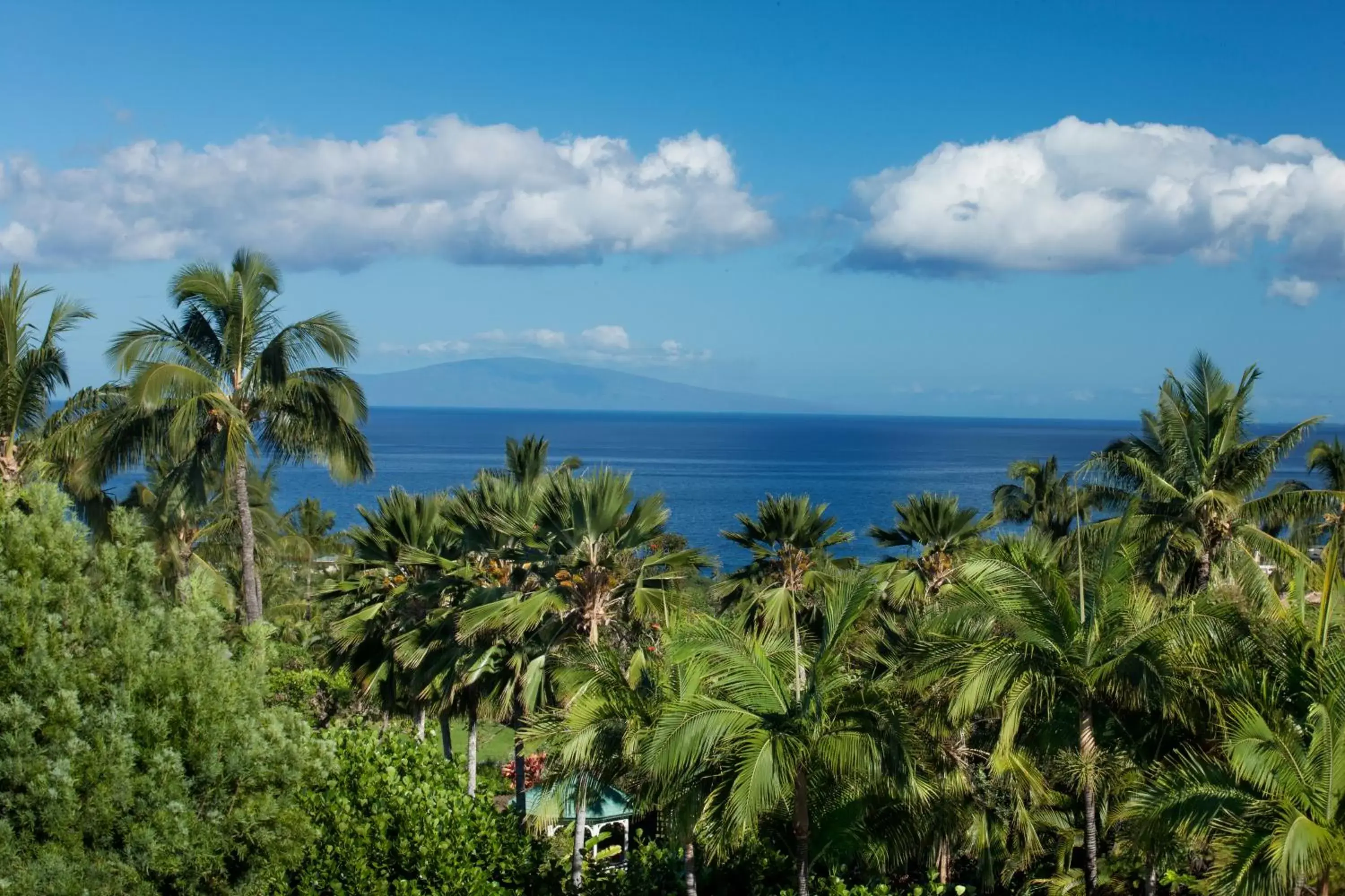 View (from property/room), Natural Landscape in Hotel Wailea, Relais & Châteaux - Adults Only