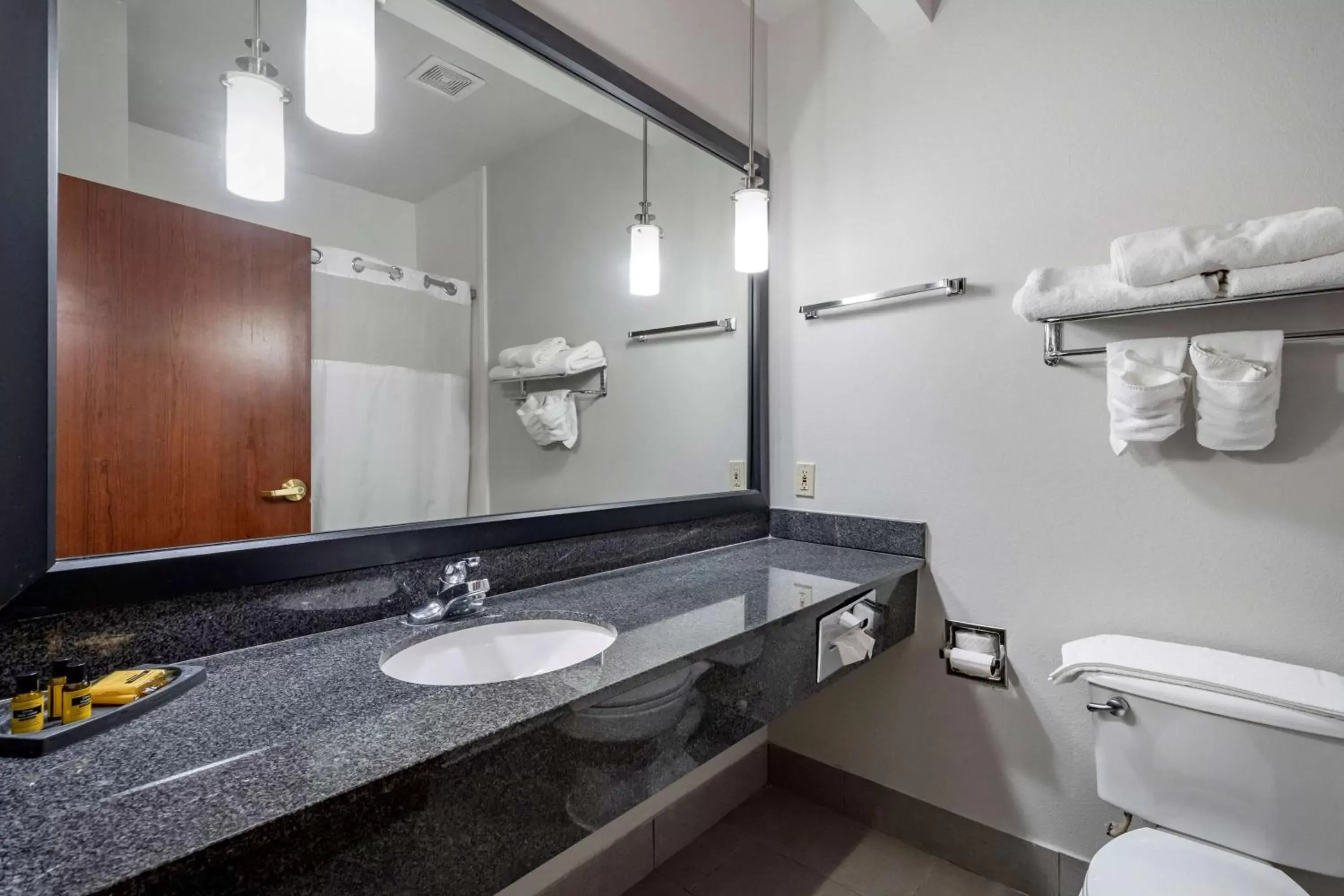 Bathroom in Best Western Plus McKinney Inn and Suites