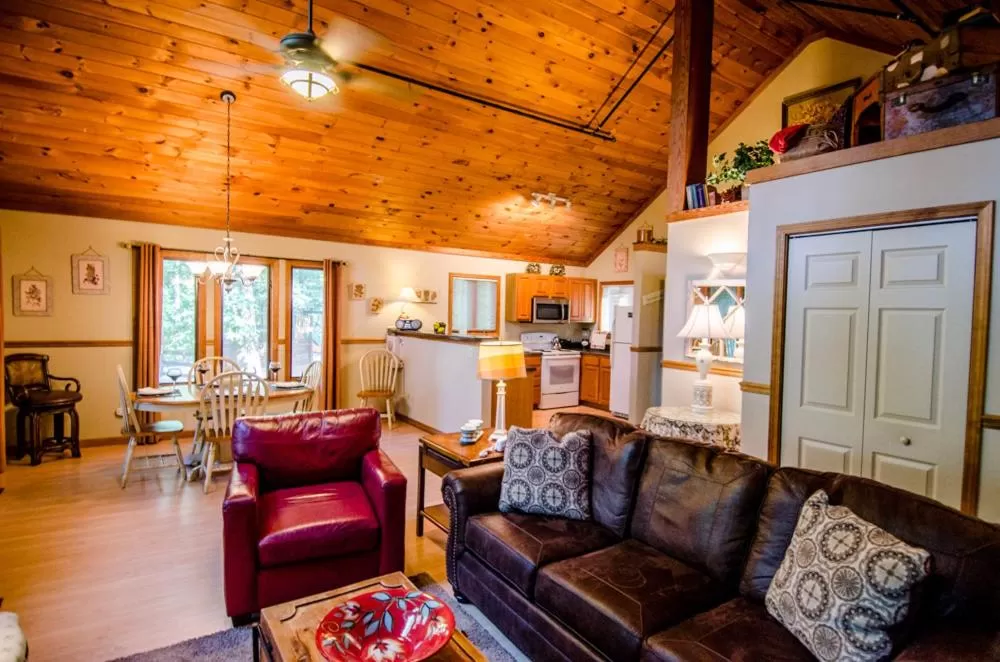 Living room in Asheville Cabins of Willow Winds