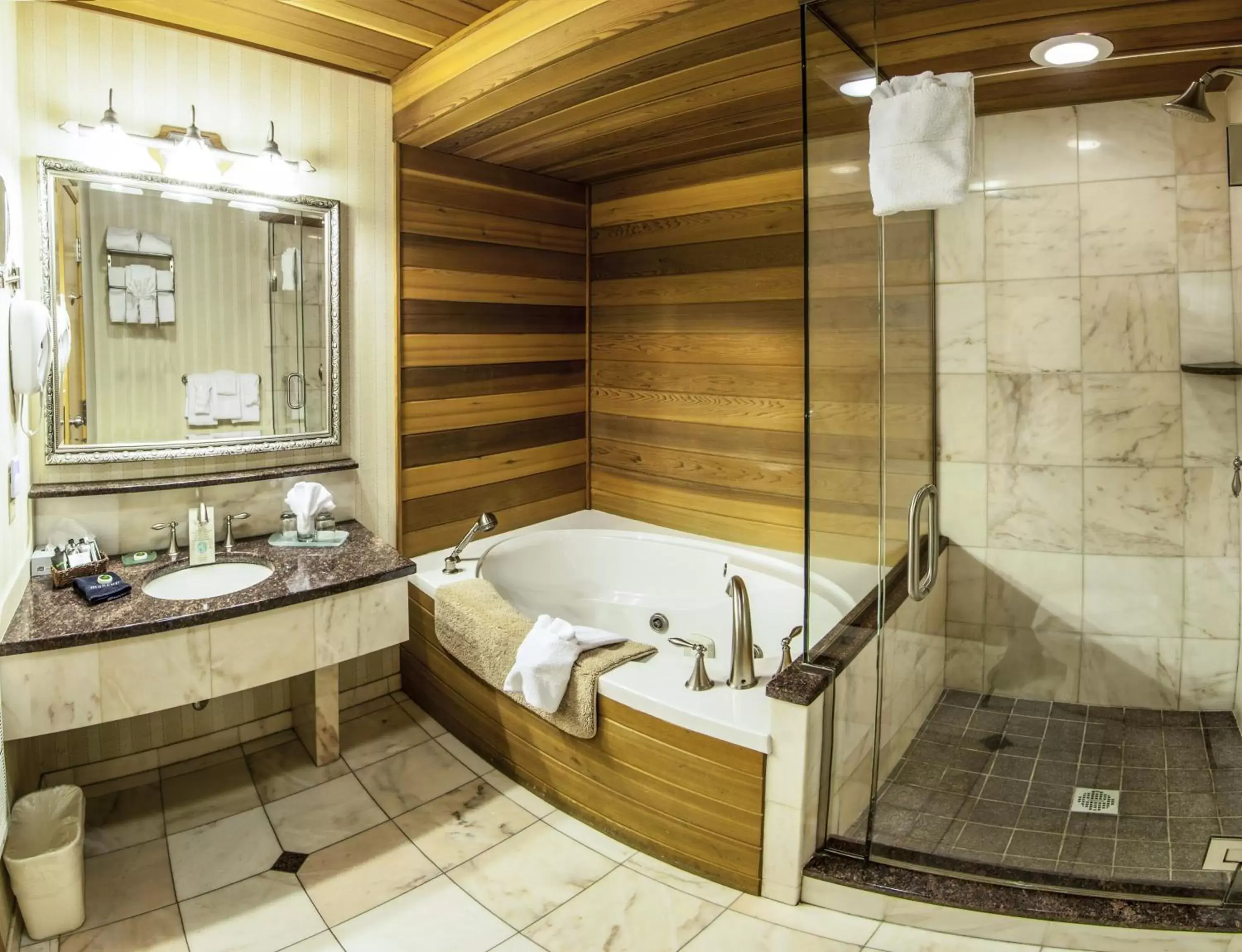 Bathroom in Golden Arrow Lakeside Resort