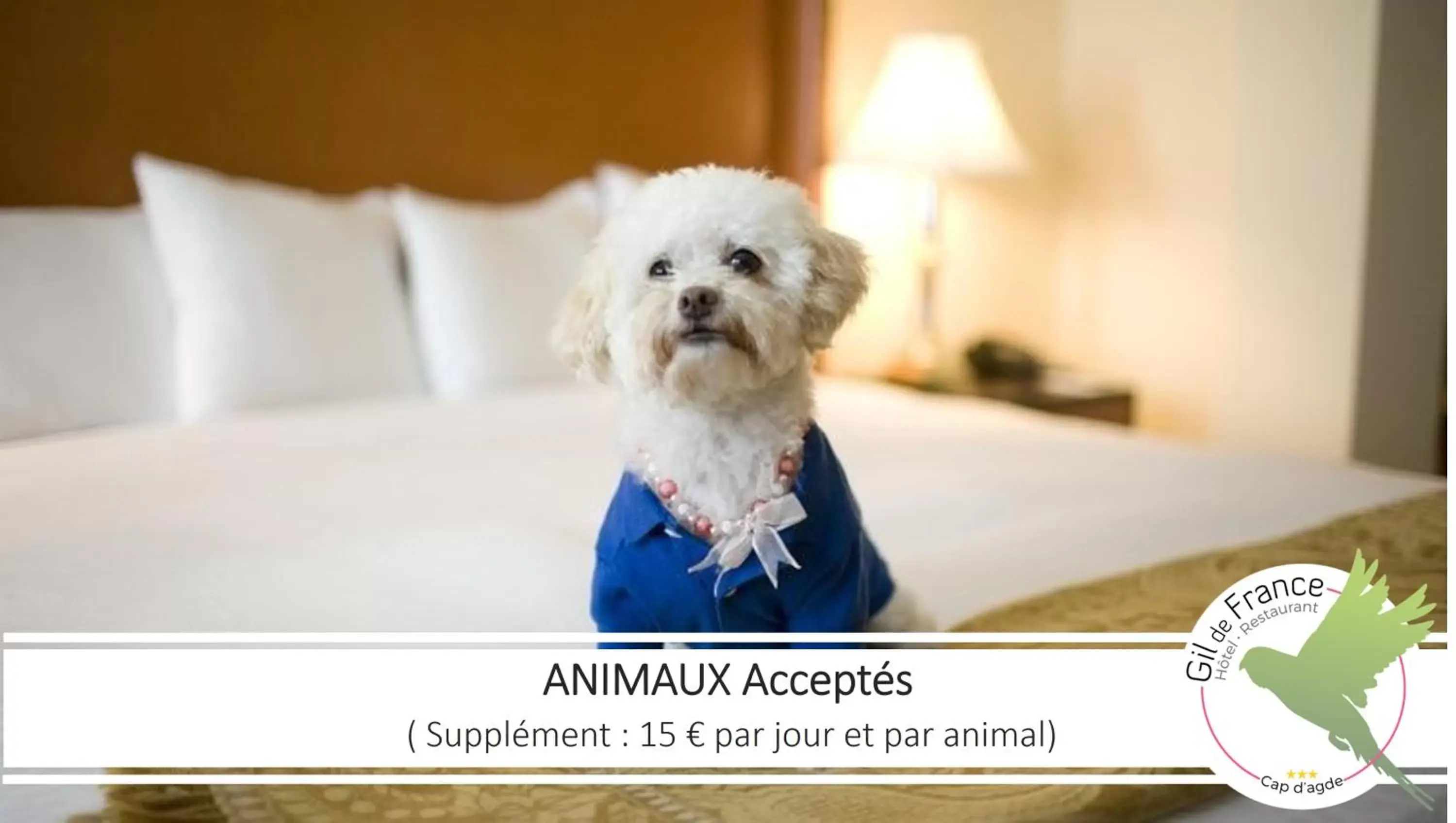 Pets in Hotel & Spa Gil de France Cap d'Agde