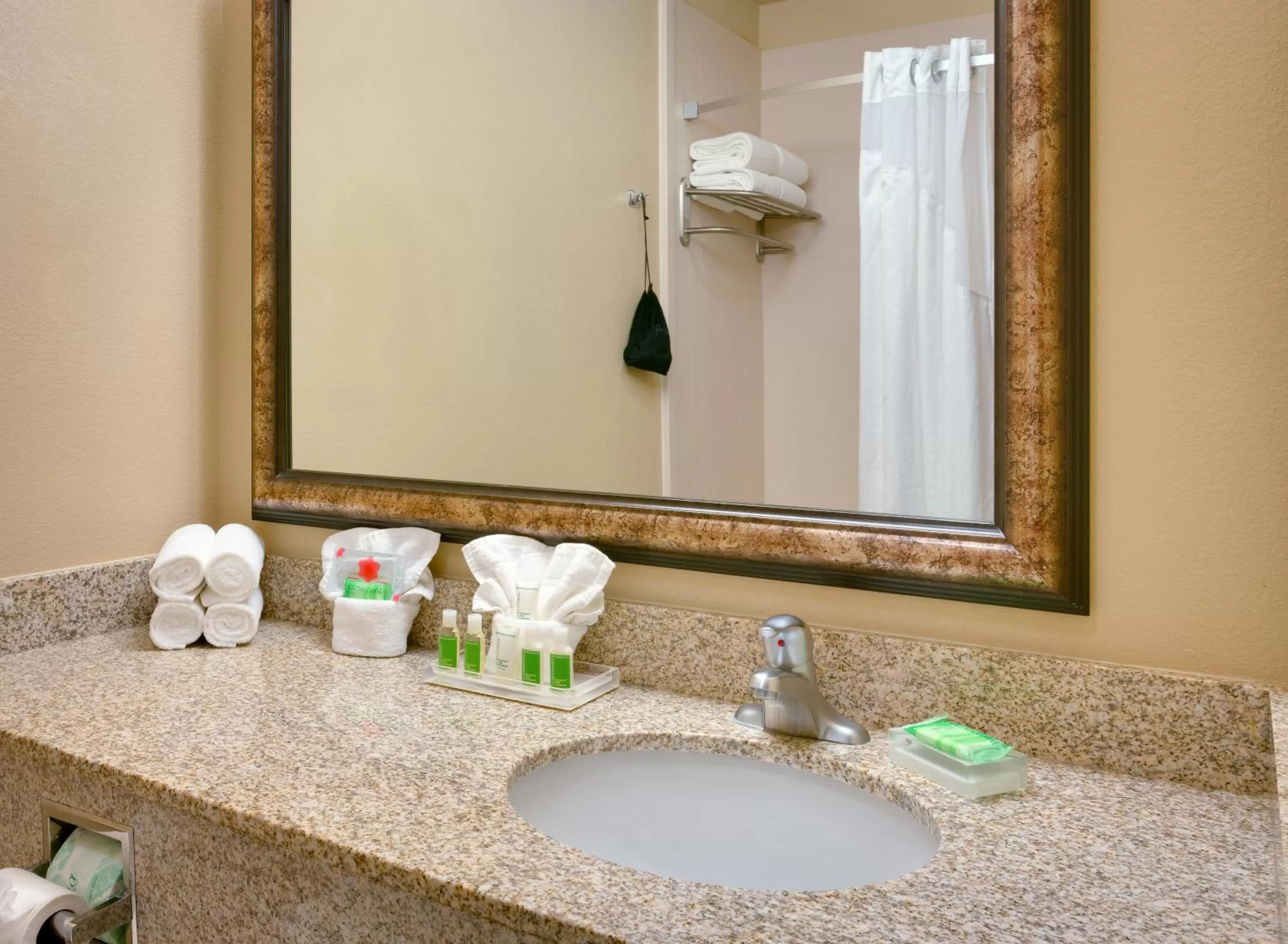 Bathroom in Holiday Inn & Suites Salt Lake City - Airport West by IHG