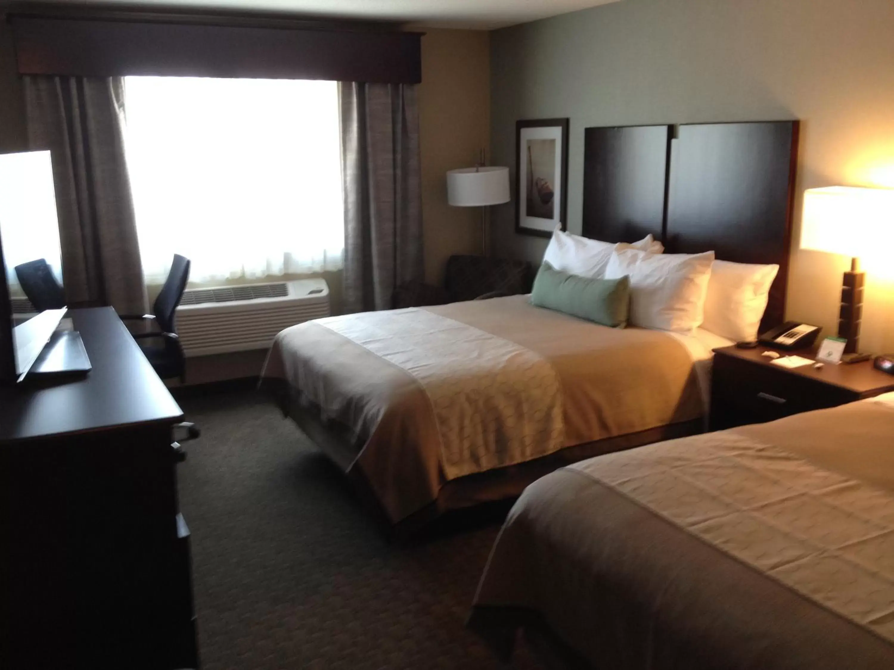 Bed in GrandStay Hotel & Suites - Glenwood