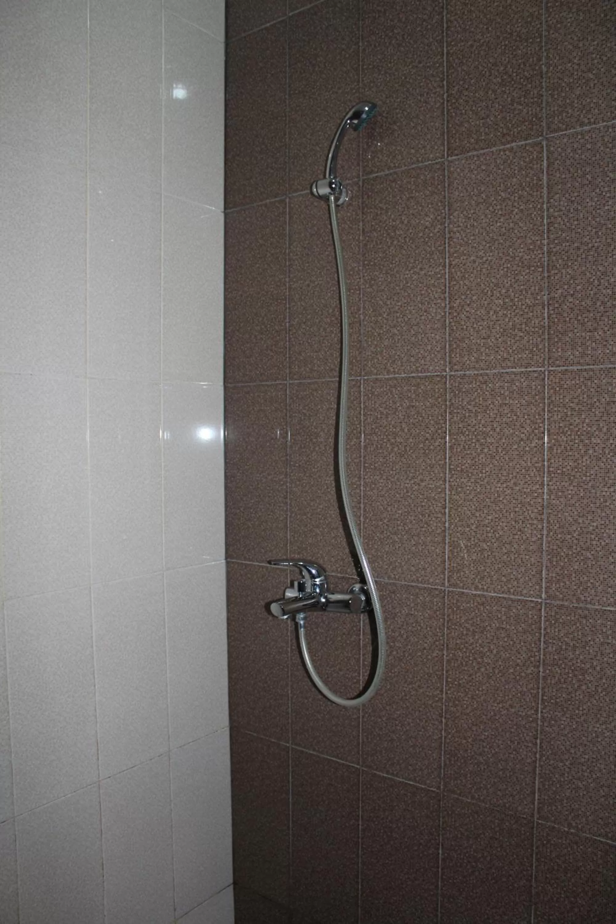 Bathroom in Hotel Elegant