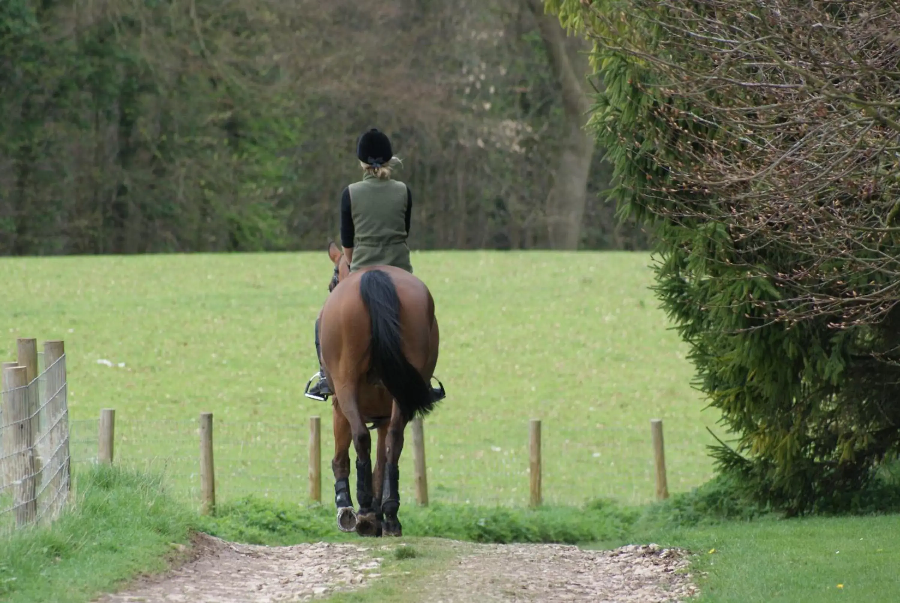 Spring, Horseback Riding in The Old Kiln House