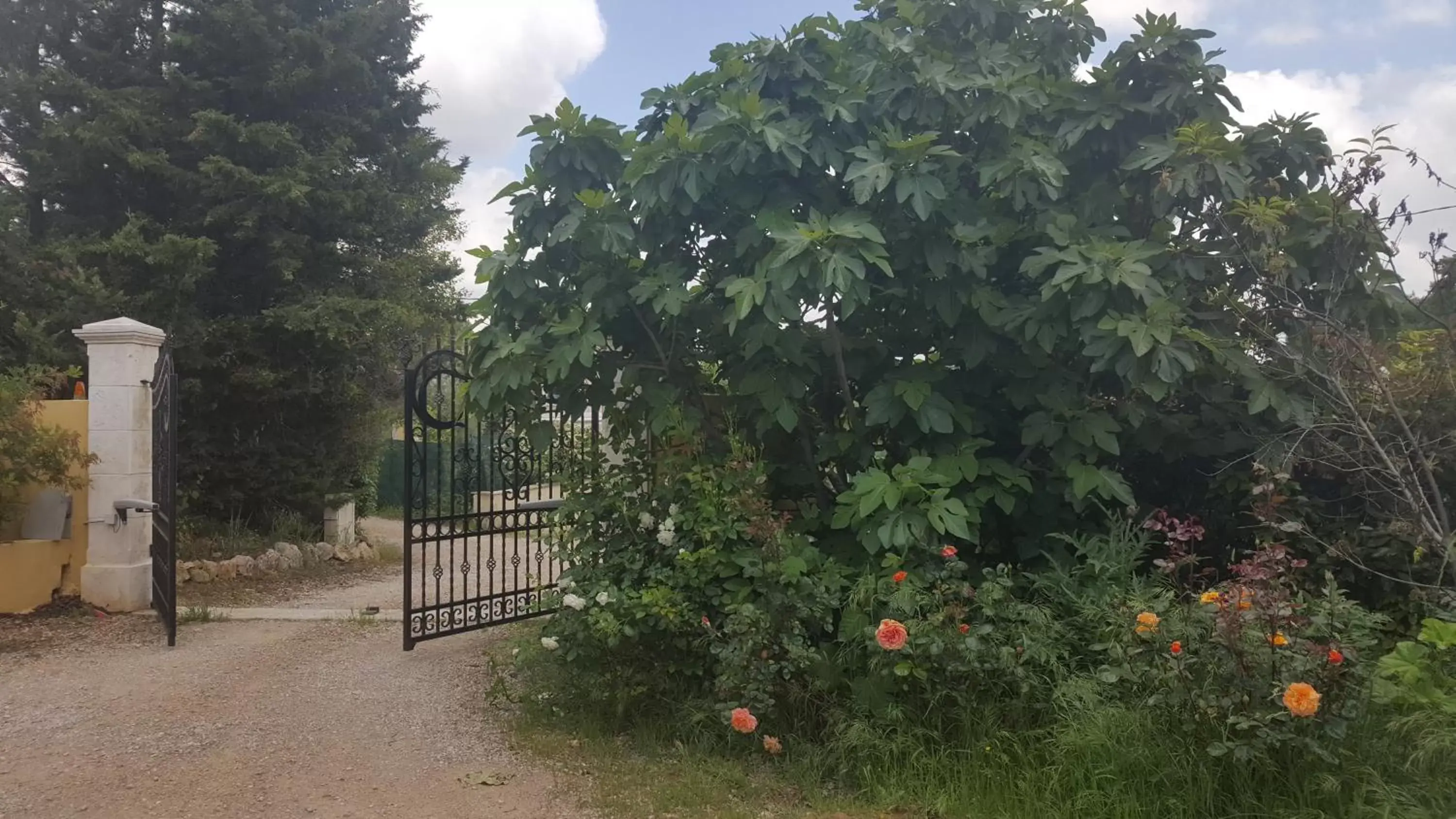 Garden view in La Villa Provençale