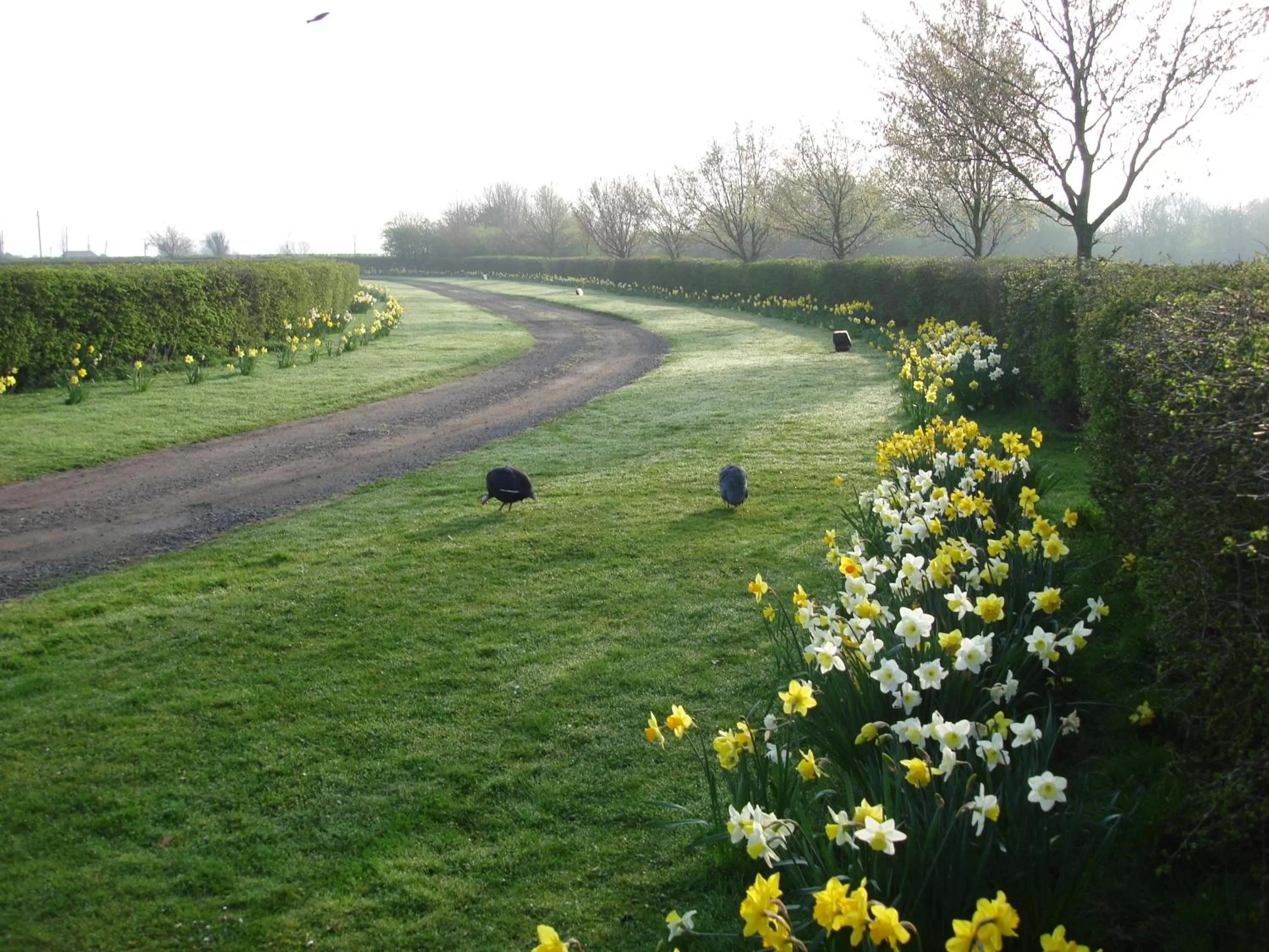 Garden in Pointers Guest House