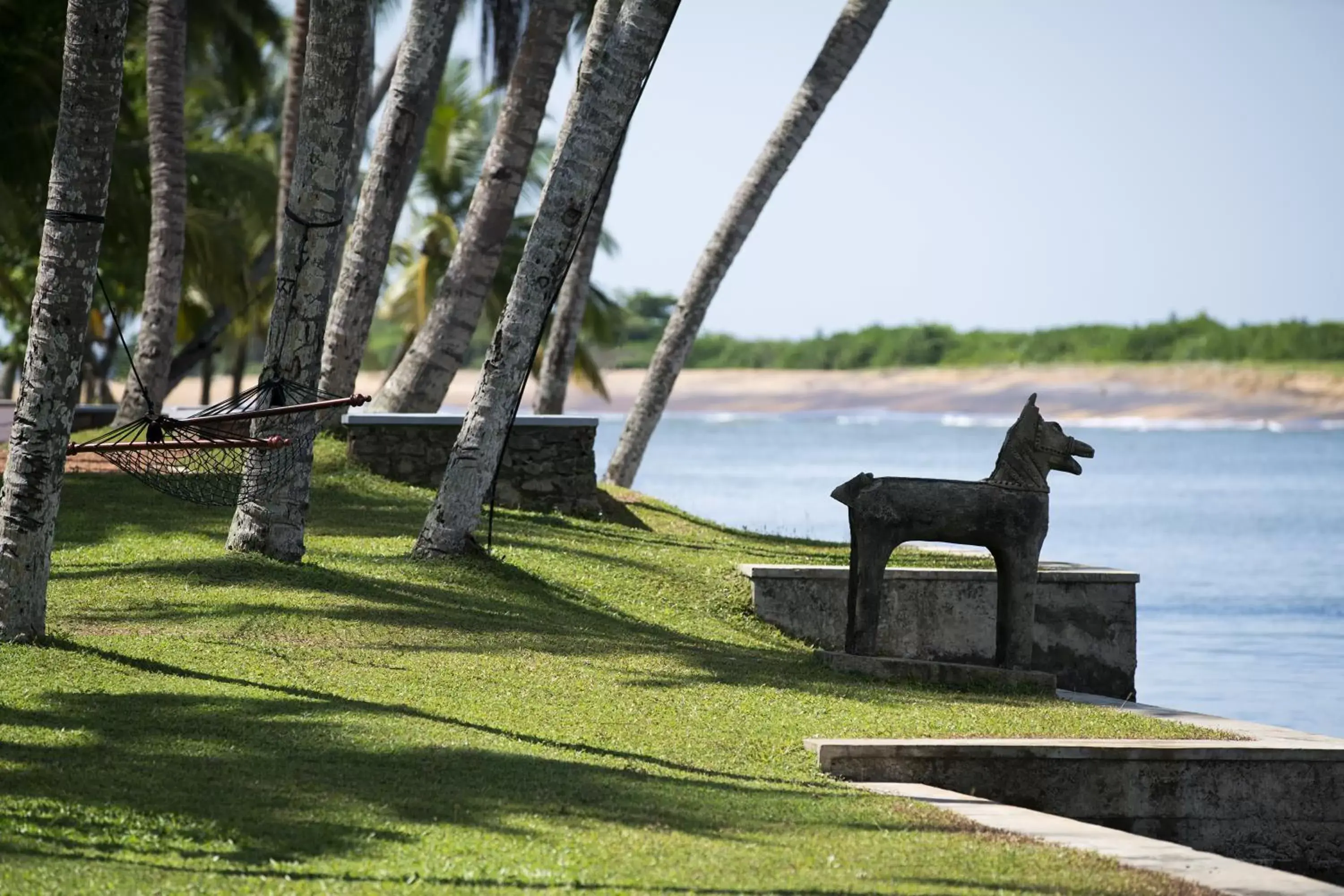 Garden in Avani Kalutara Resort