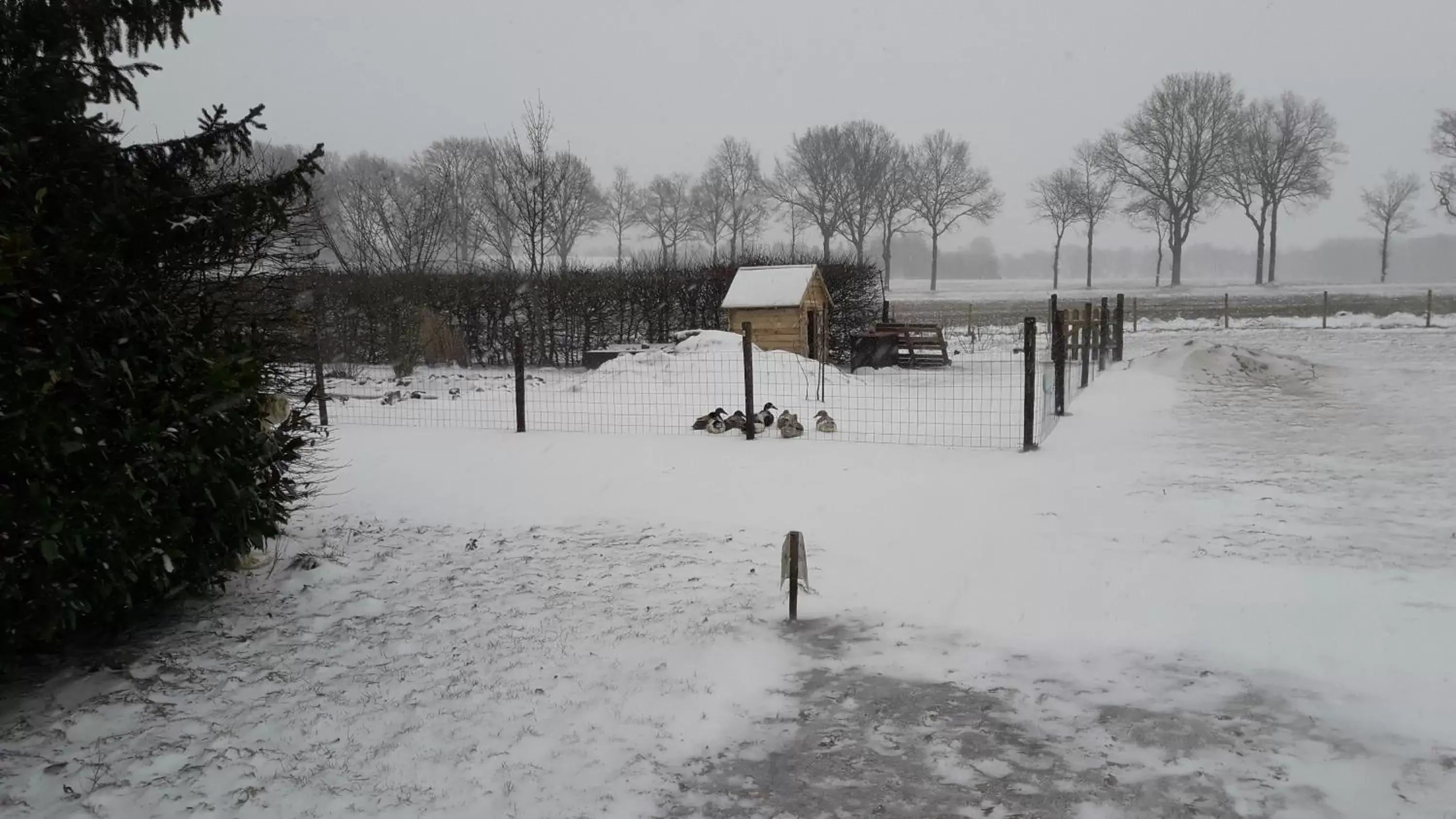 Garden, Winter in 't Rond Bargie