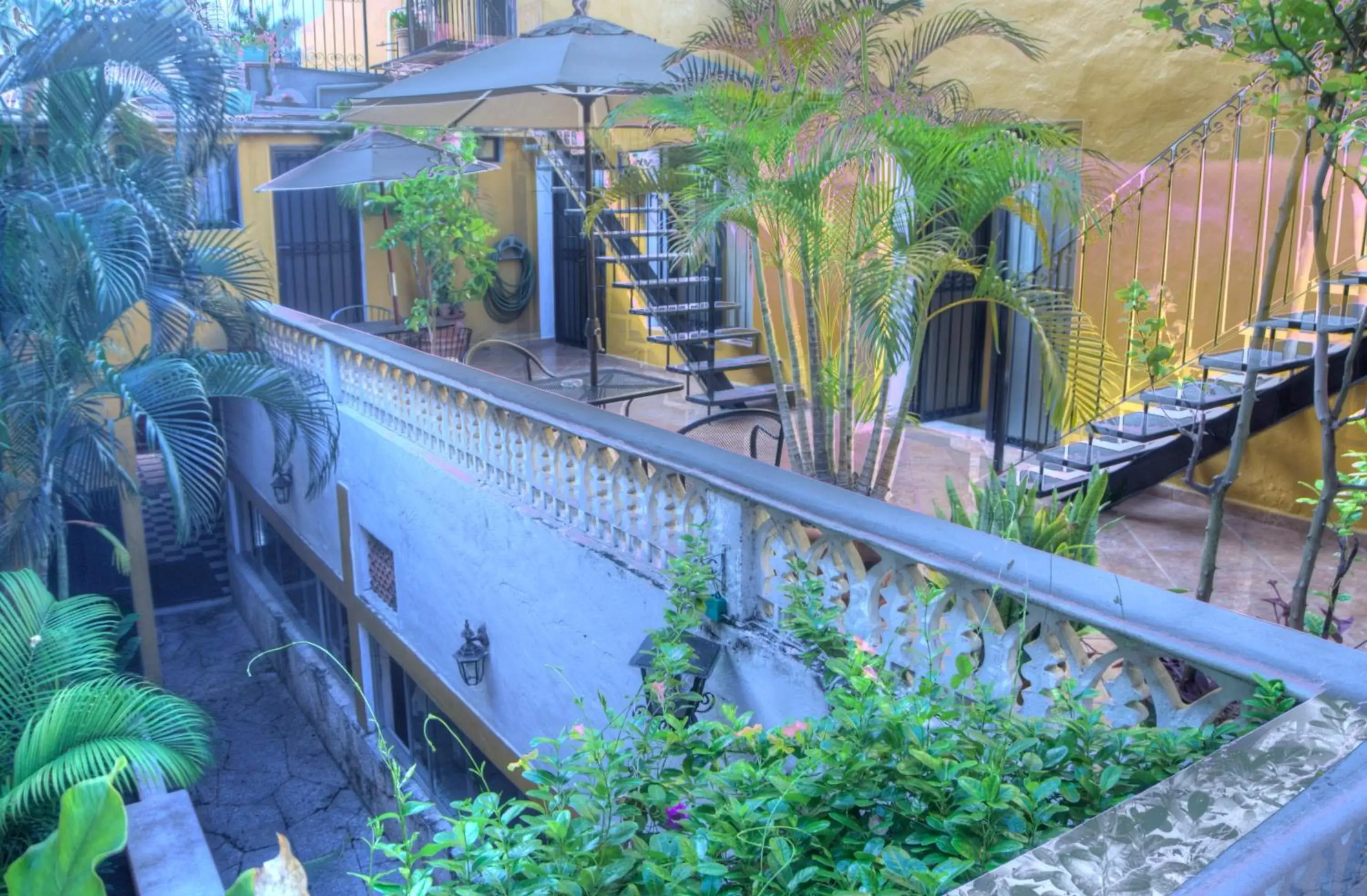 Balcony/Terrace, Swimming Pool in Hotel Luz en Yucatan