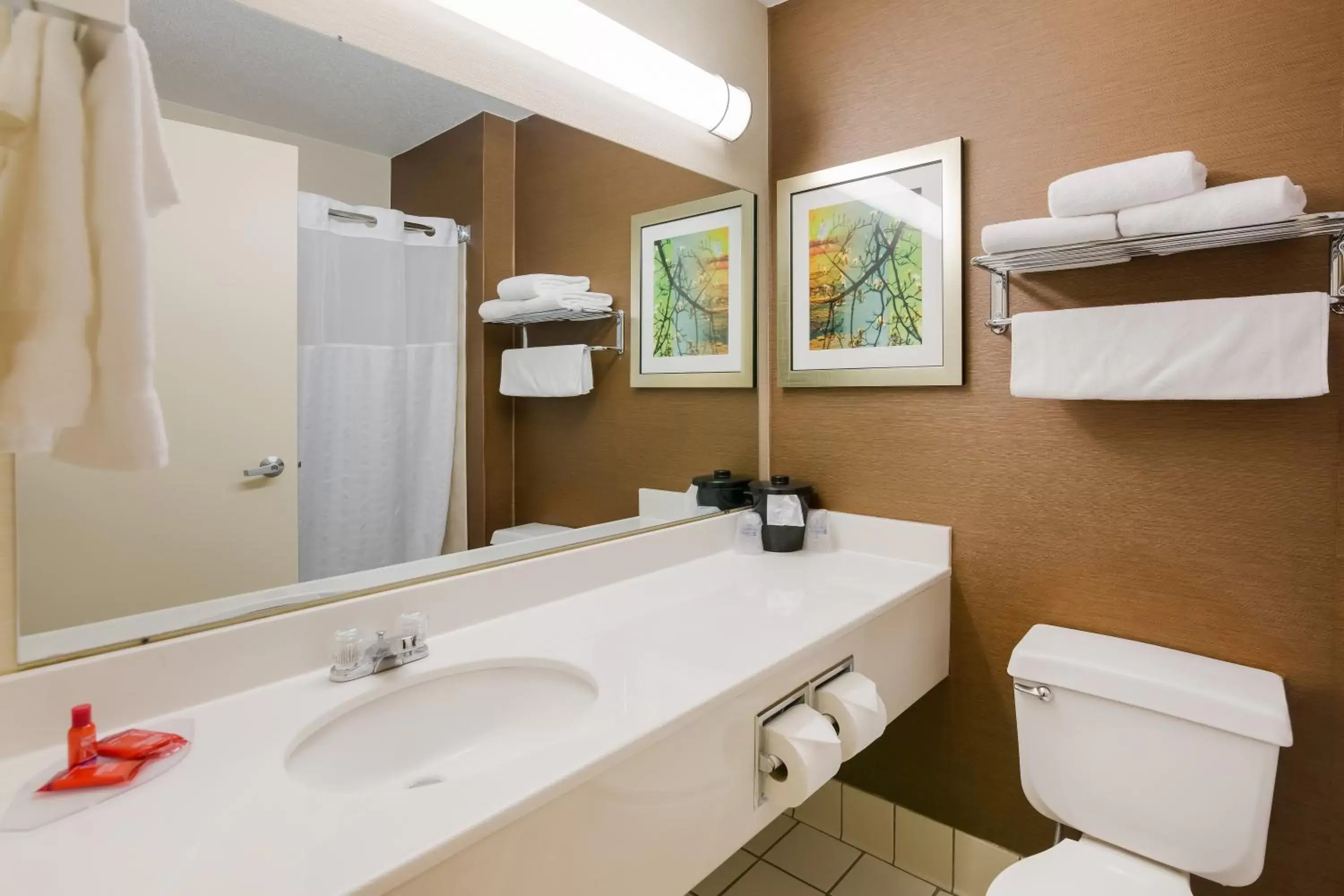 Bathroom in SureStay Plus Hotel by Best Western Minot