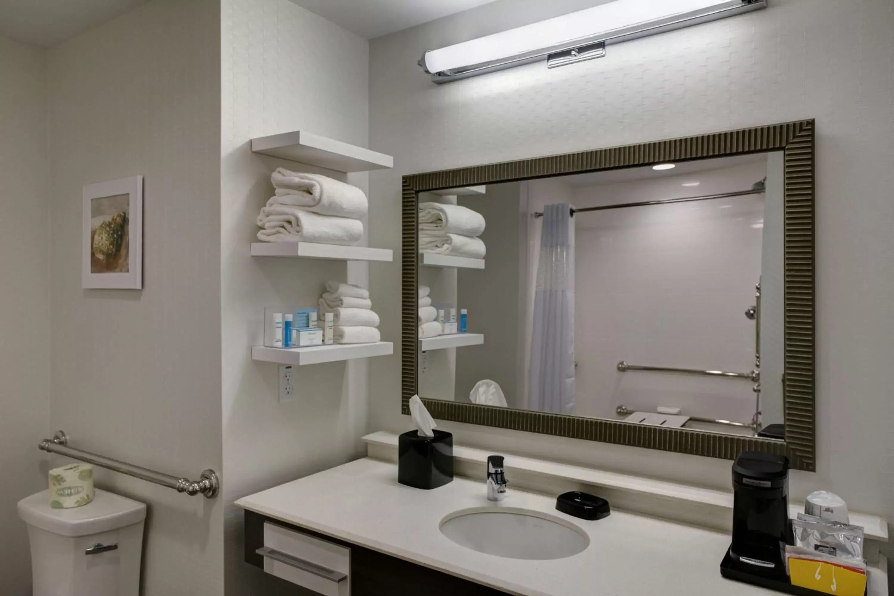 Bathroom in Hampton Inn and Suites by Hilton Vero Beach-Downtown