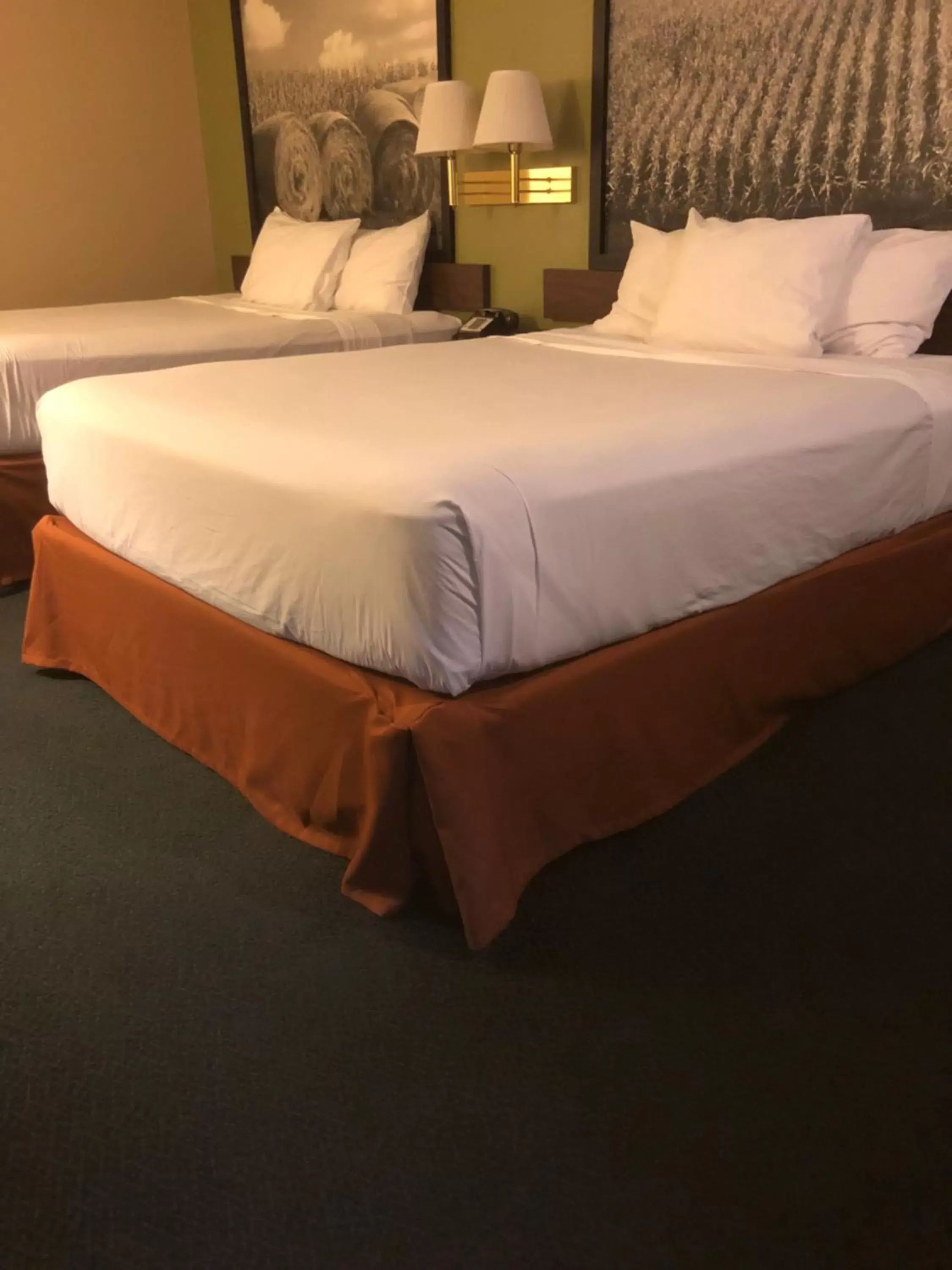 Bed in Americas Best Value Inn Onawa