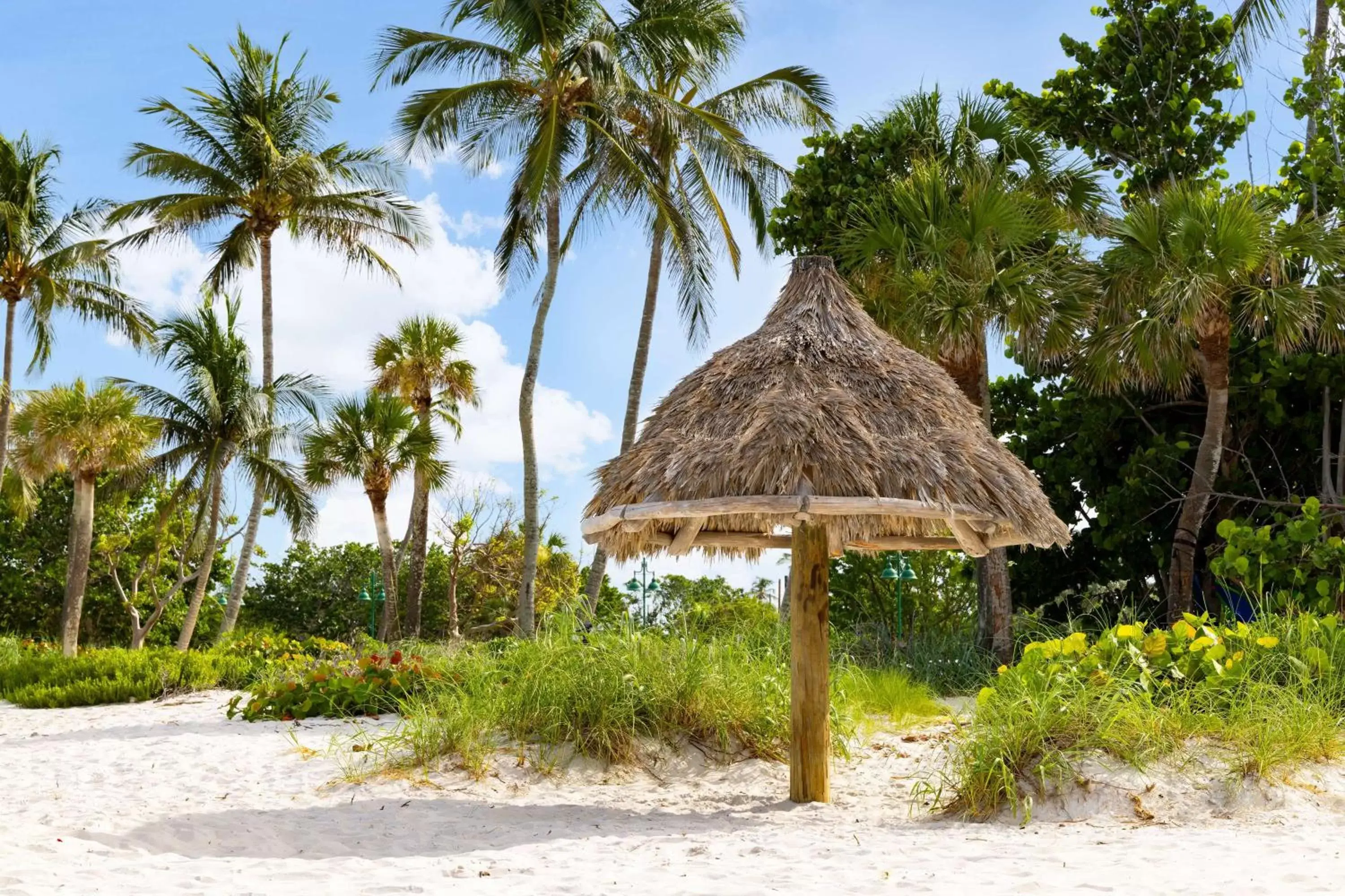 Beach in Hampton Inn Naples-Central